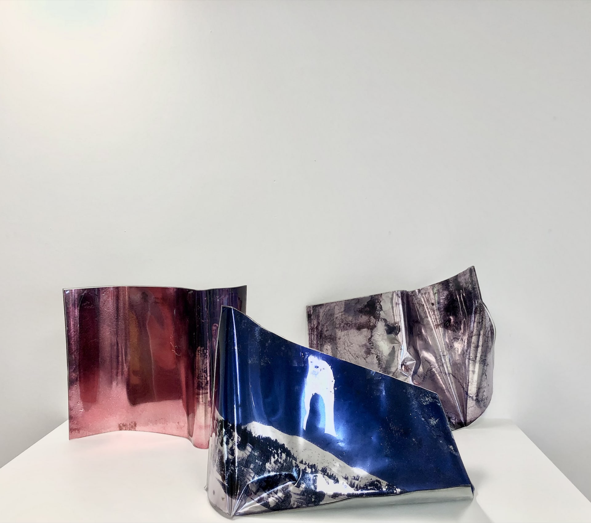 Experiencing Molds, Lightly reflective resin coated metallic print