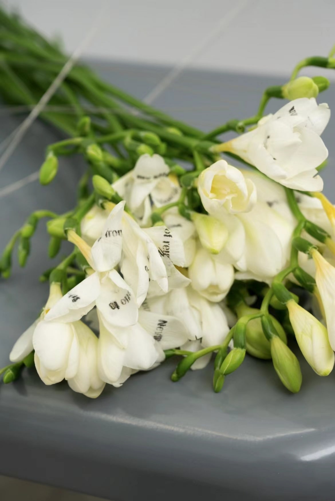 'I also clipped petals...', Freesia, stainless steel wire/tube