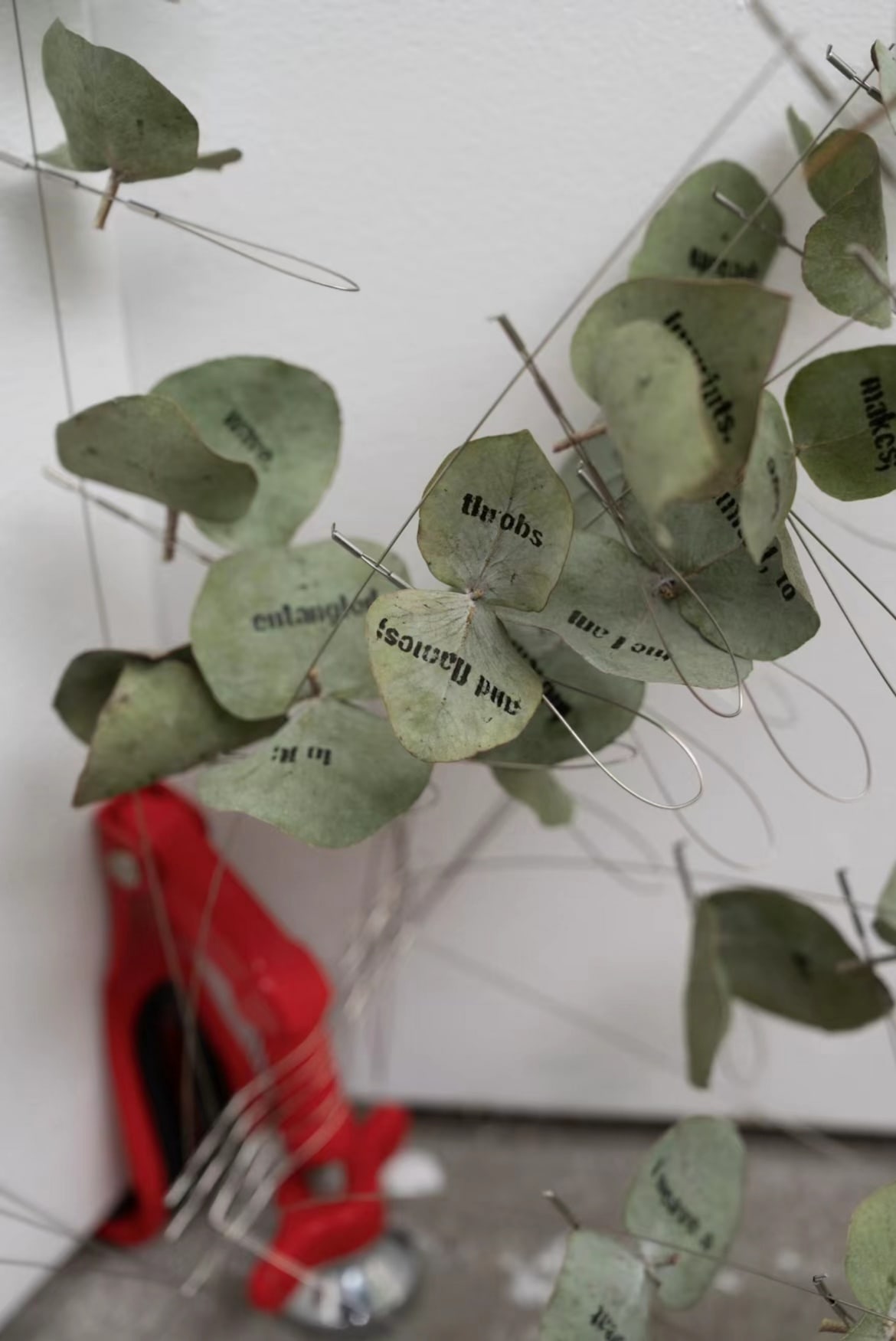 'The door won’t open again...', Door stopper, stainless steel wire, eucalyptus leaves