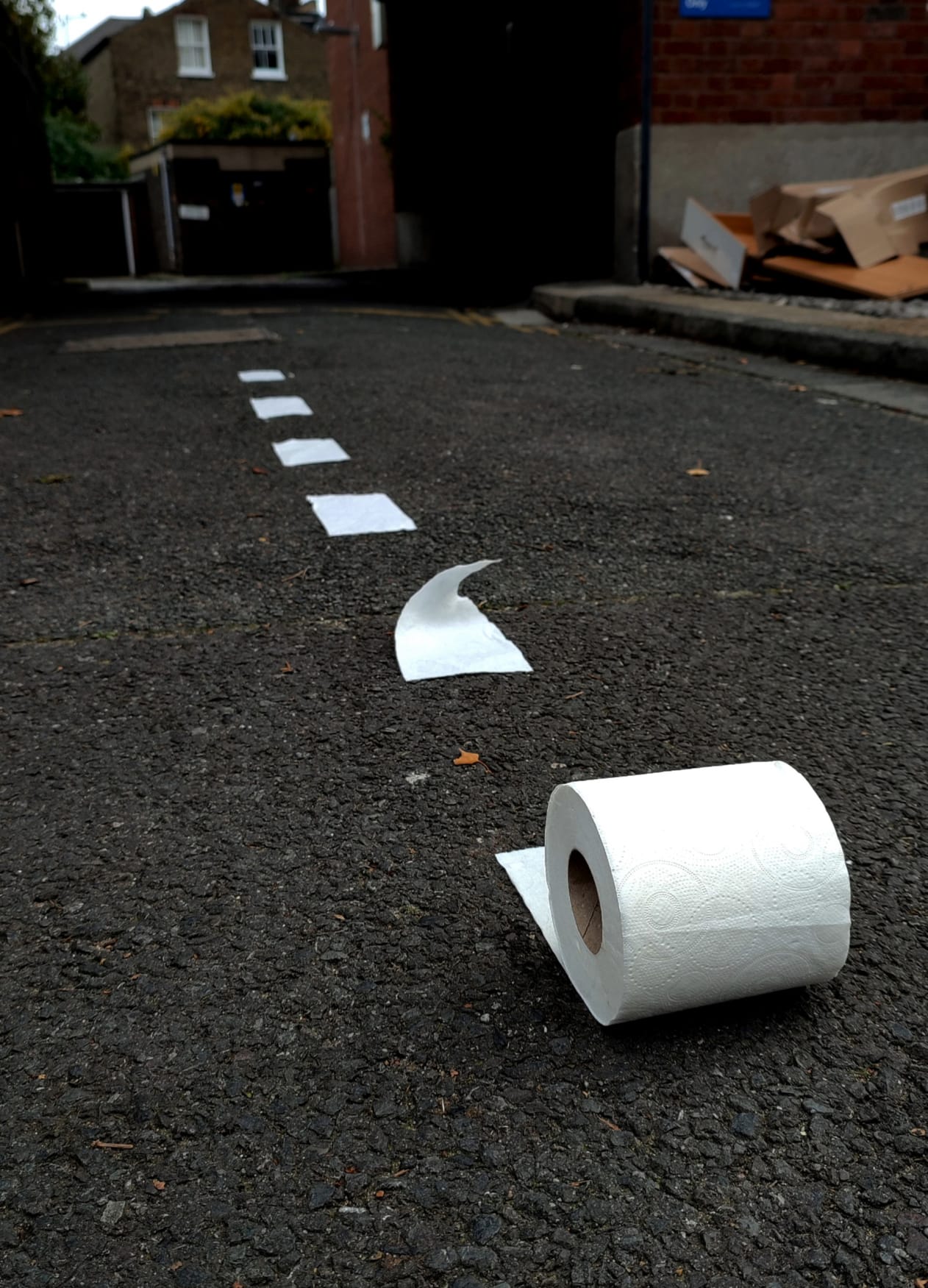 A toilet paper placed on the road to imitate dash road marking line.