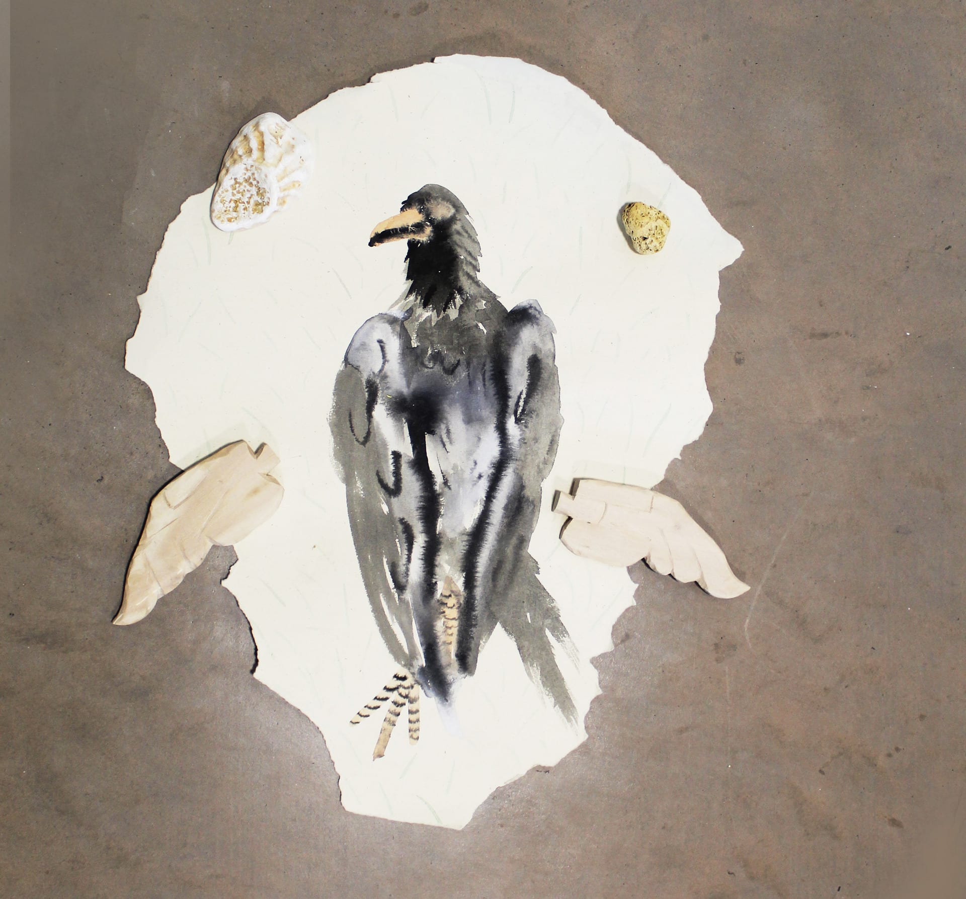 A painting of a dead pigeon is surrounded by wings, shell and stone