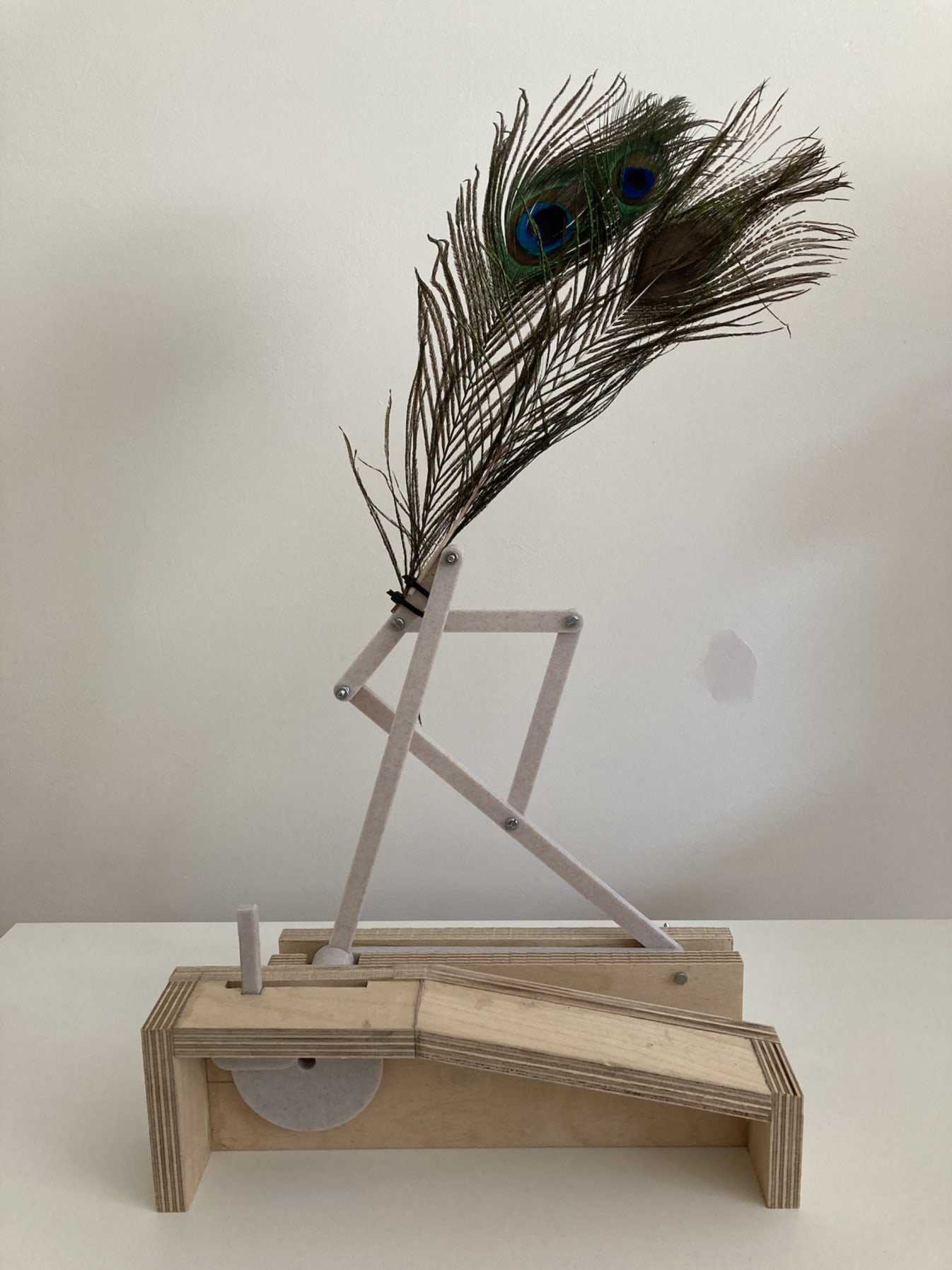 A mechanical linkage allows players to raise a peacock feather on activating a bell - signalling who is making what sound when
