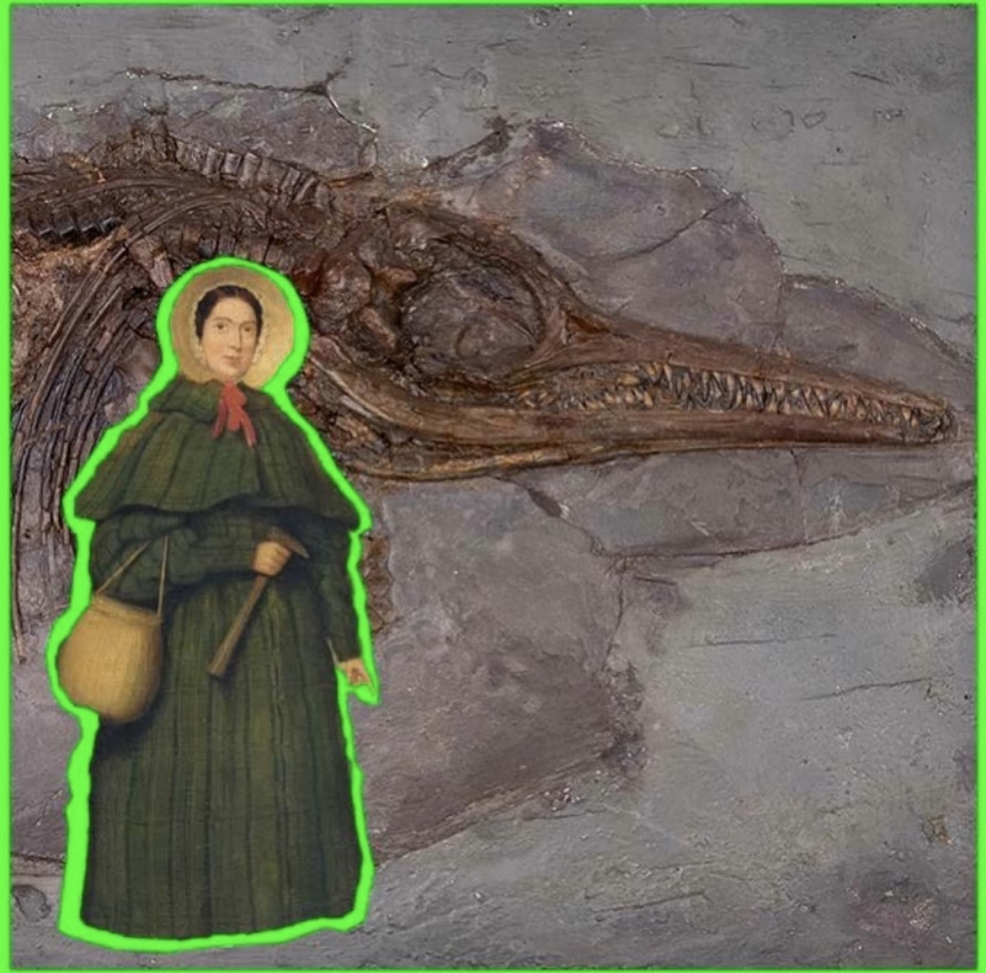 artistic image containing Mary Anning in the forefront and fossil remains of an Ichthyosaurus in the background