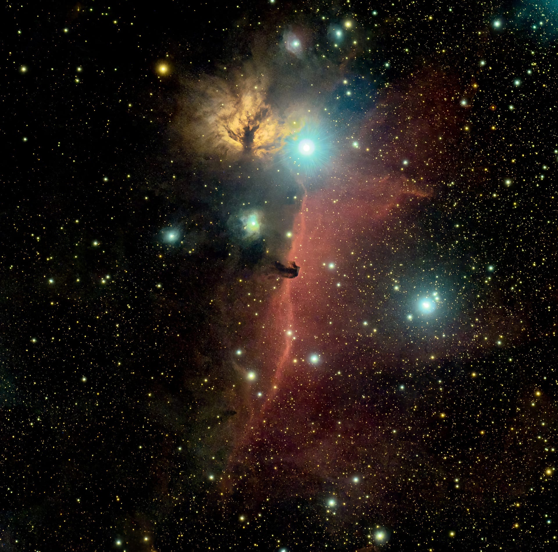 Hyperlocal Horsehead Nebula