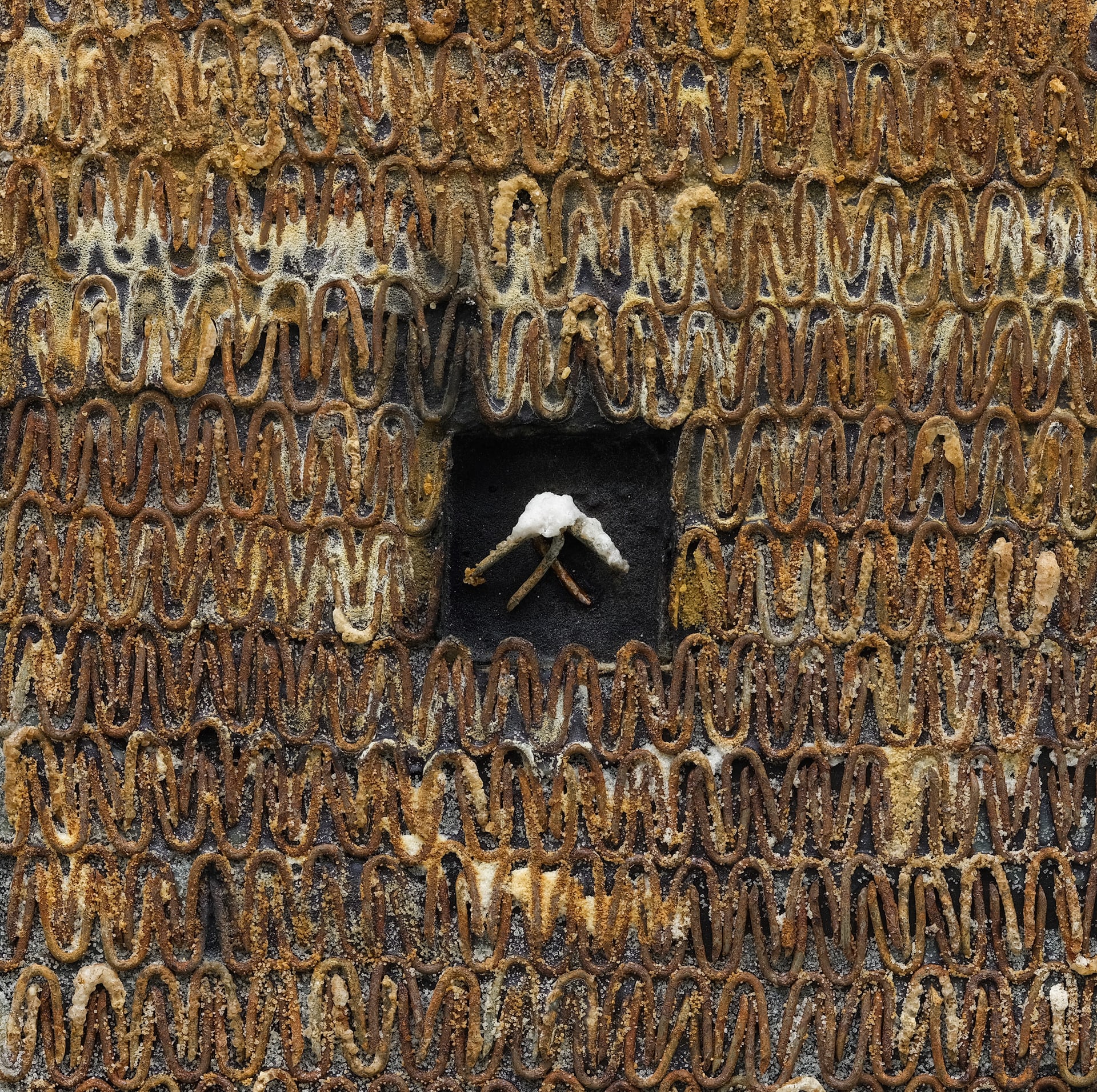 Don't they look like teeth?, Salt, ink, rusted nails, and wood glue on wood 