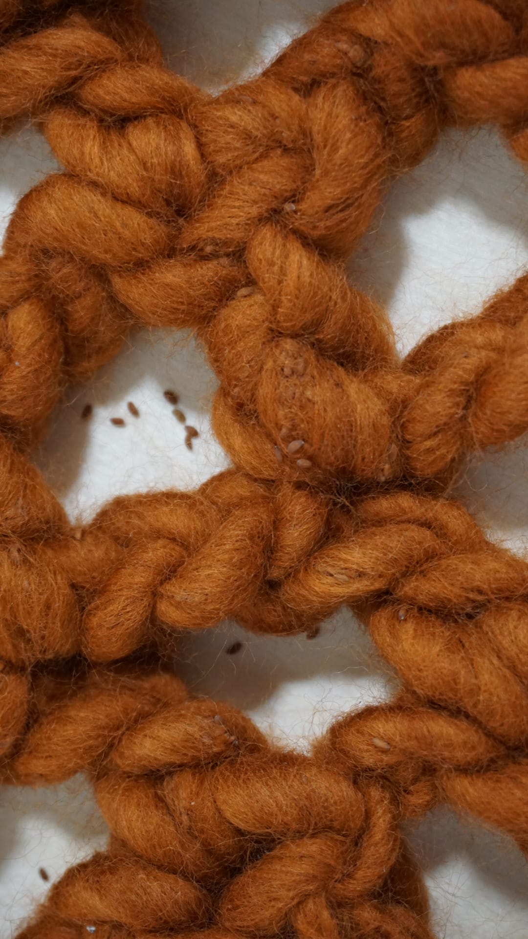 Close up of vest yarn with seed embedded.