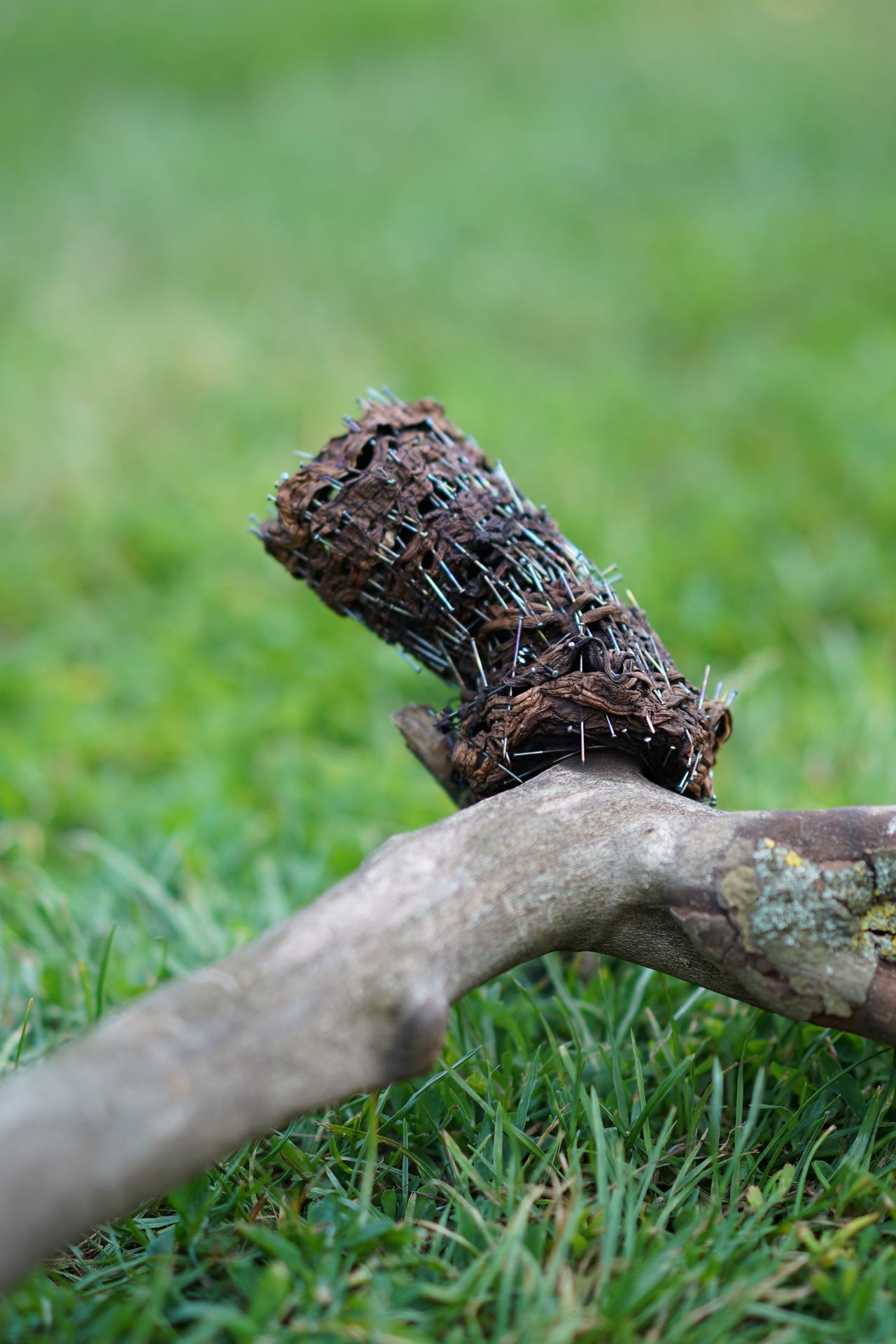 mushroom branch