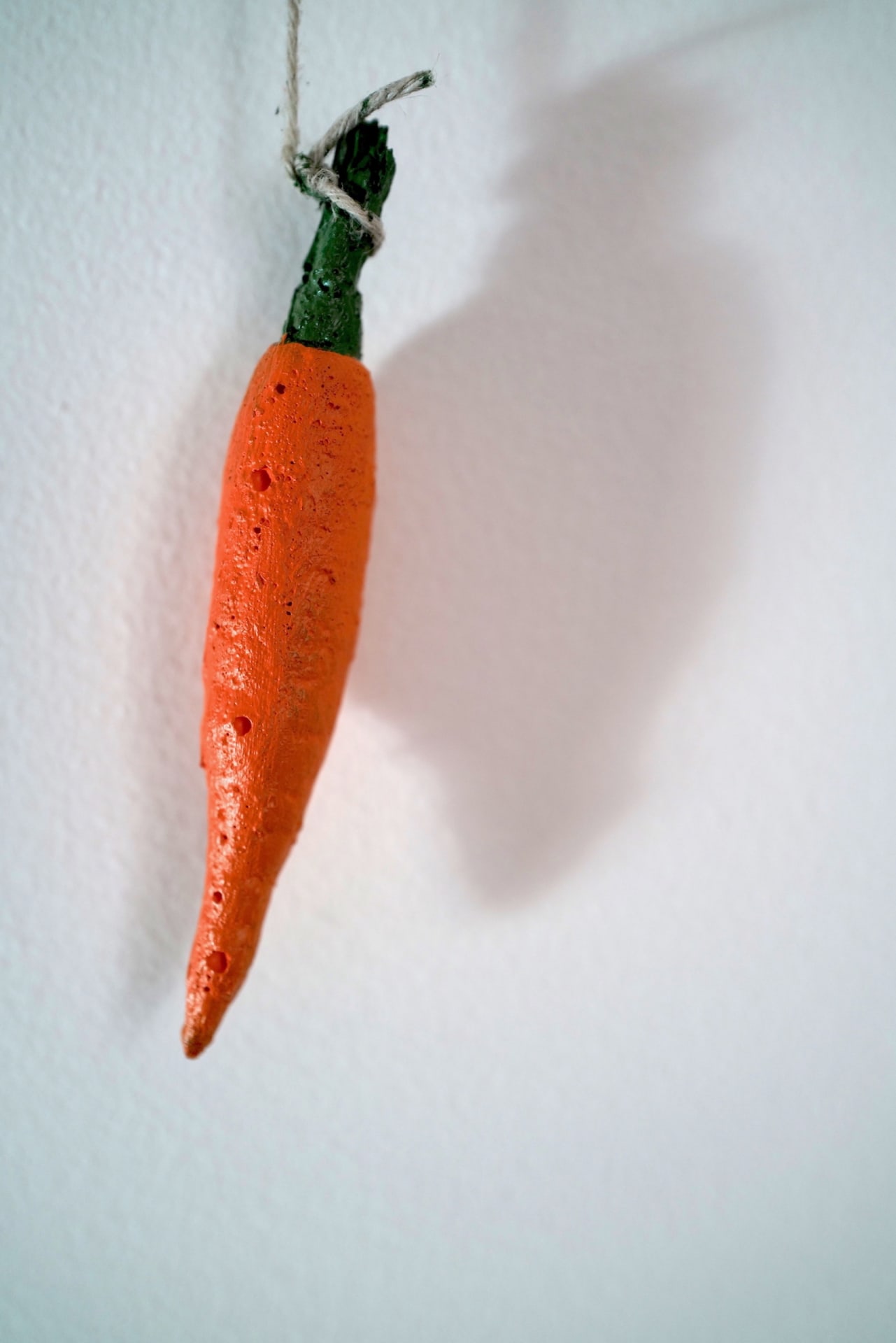 the carrot 