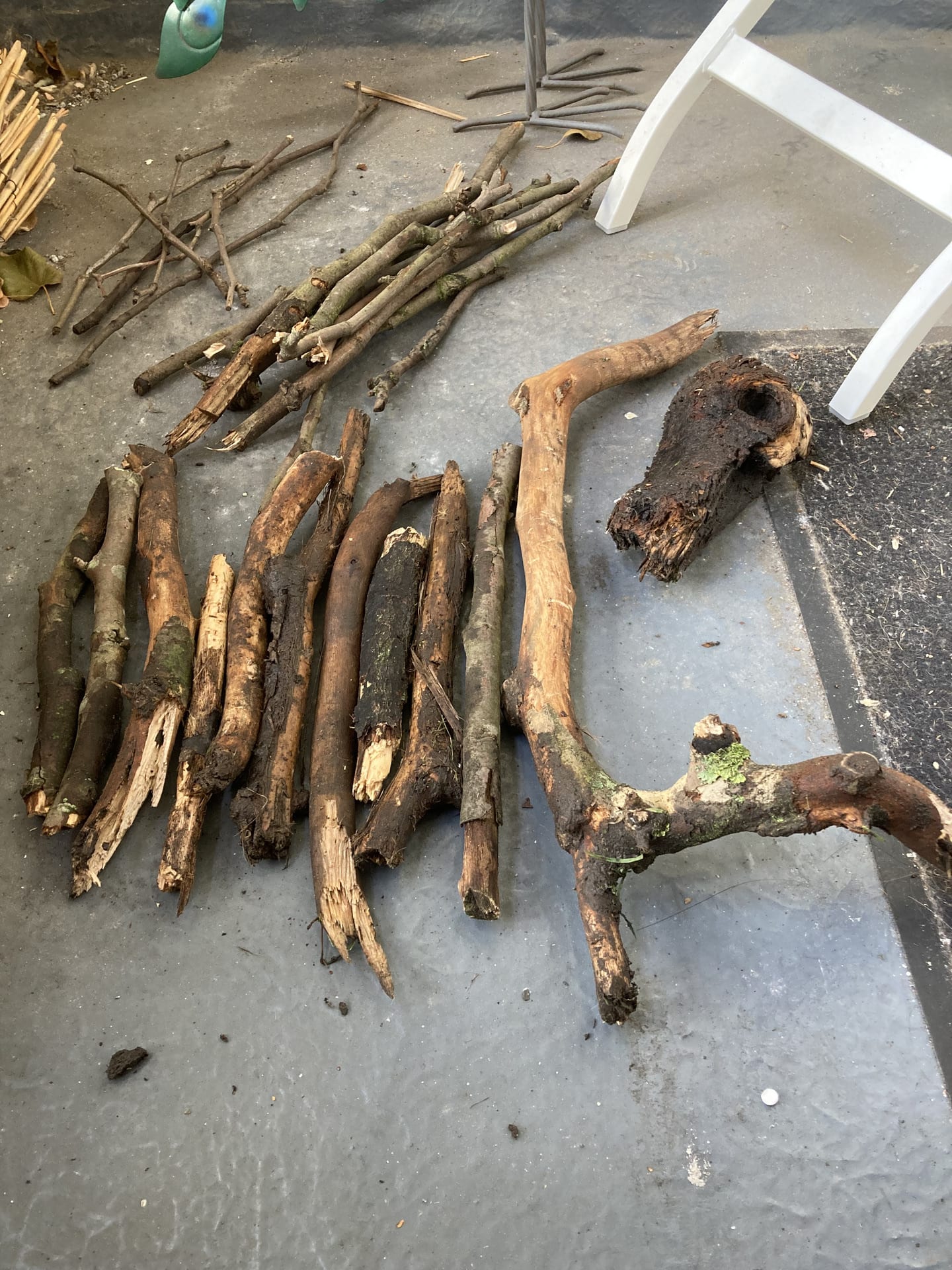 Foraged Wood spread out.