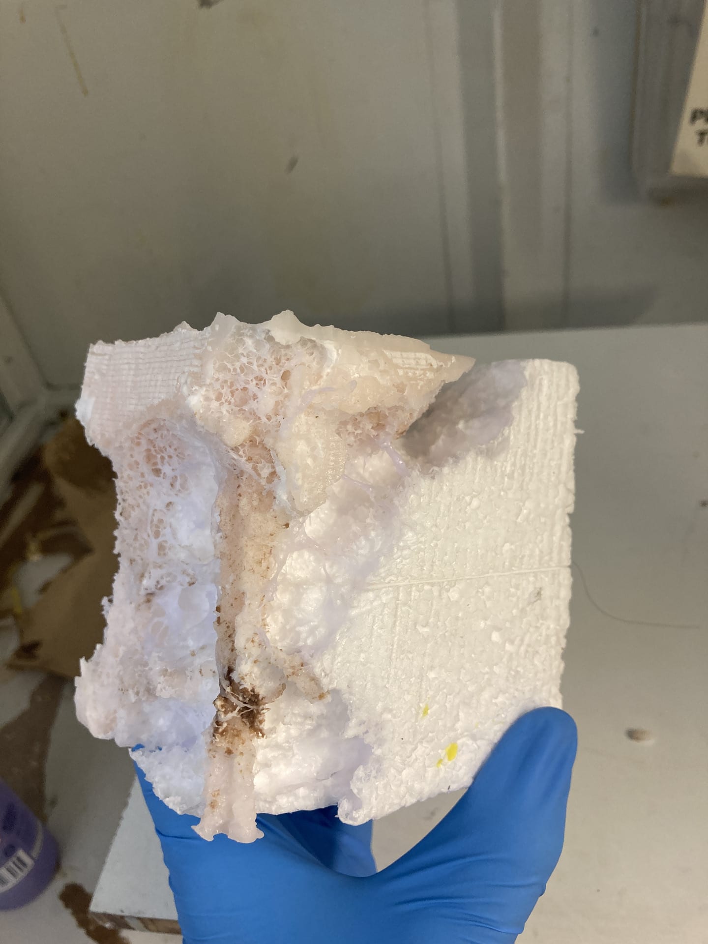 Wax casts