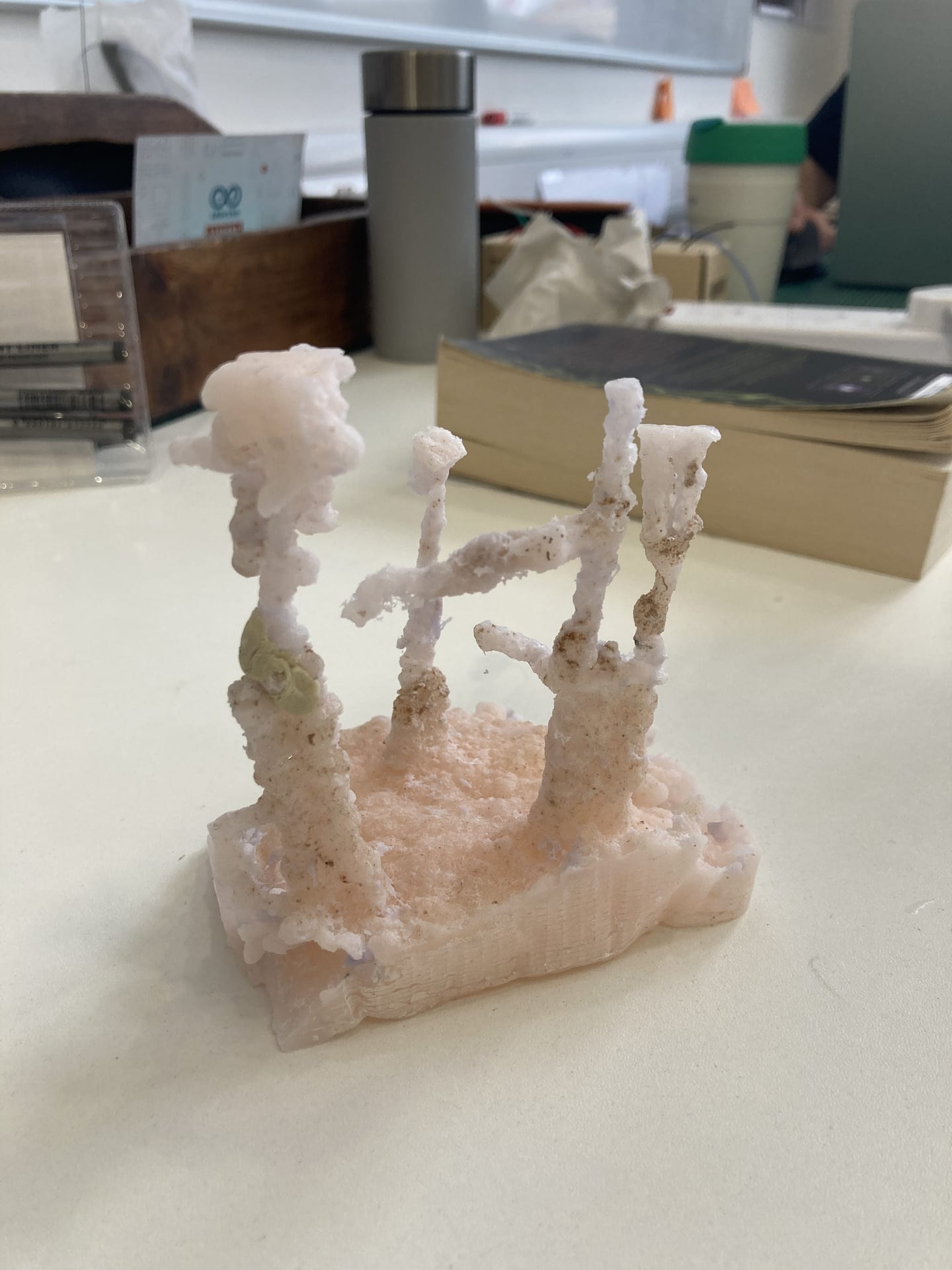 Wax casts