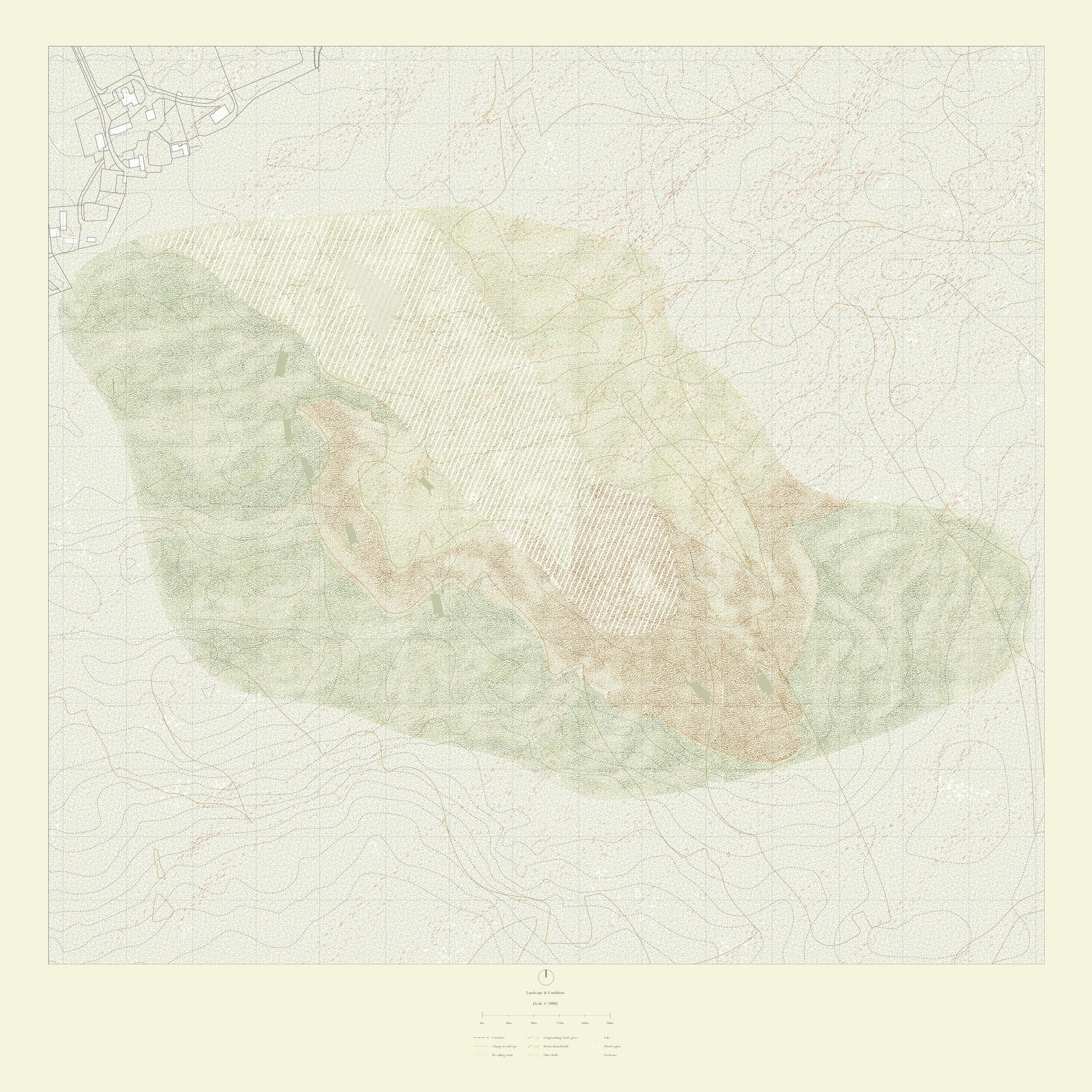 Landscape & Condition