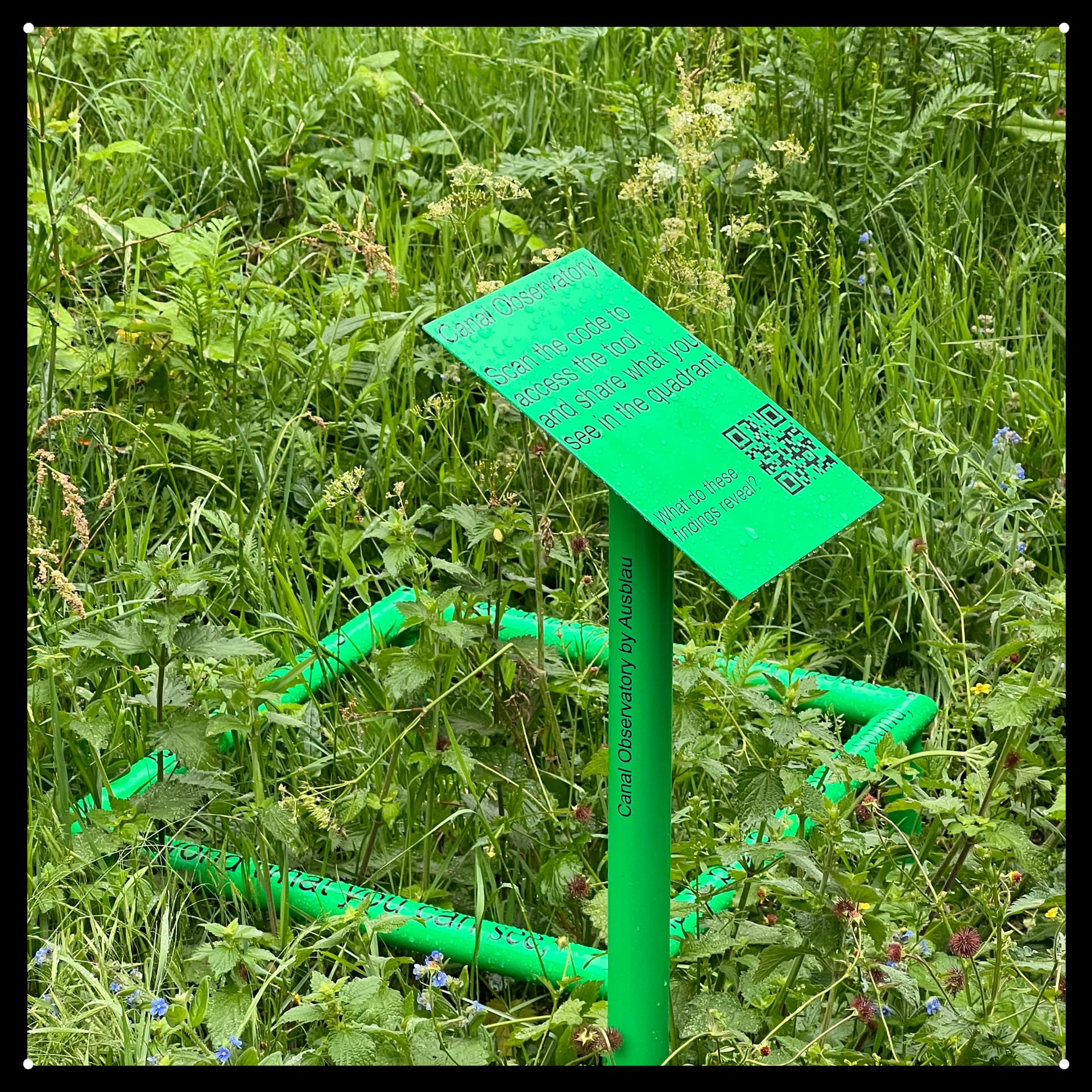 Canal Observatory, AusBlau Commission at Camley Street Natural Park