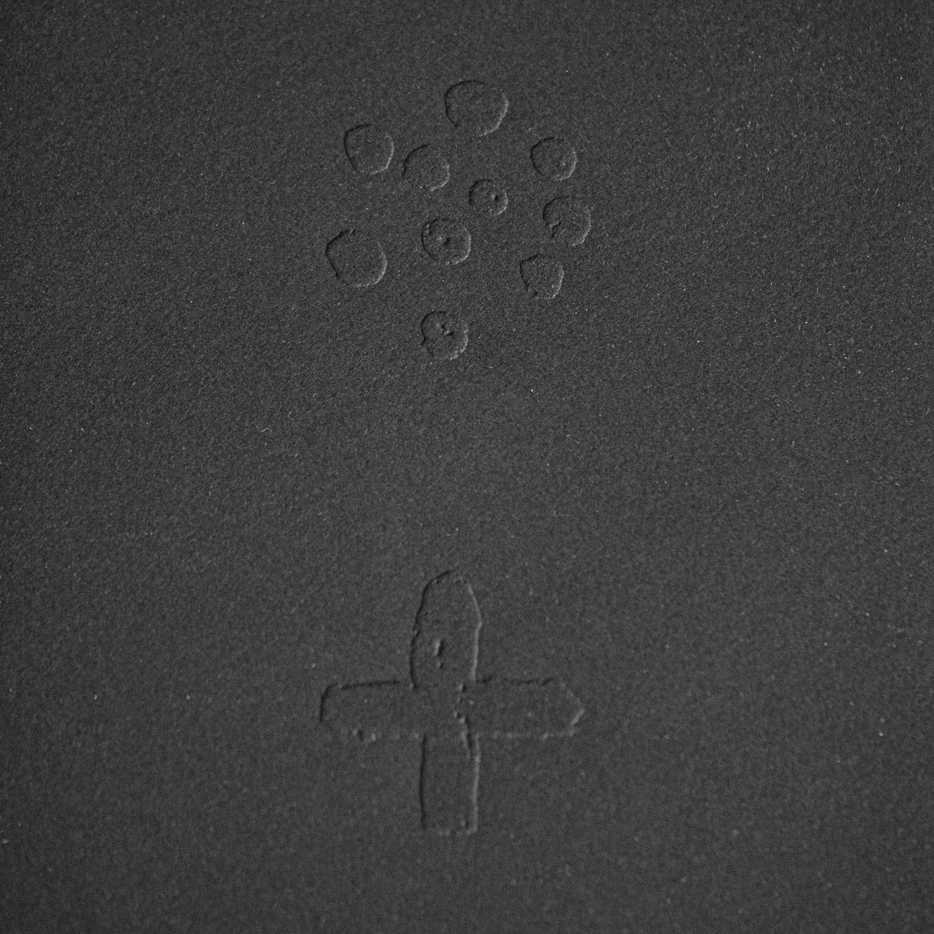 'The Star Of Woman'-image from the series 'Sirius'. Embossed black print of 'The Star Of Woman', constellation of the Dog