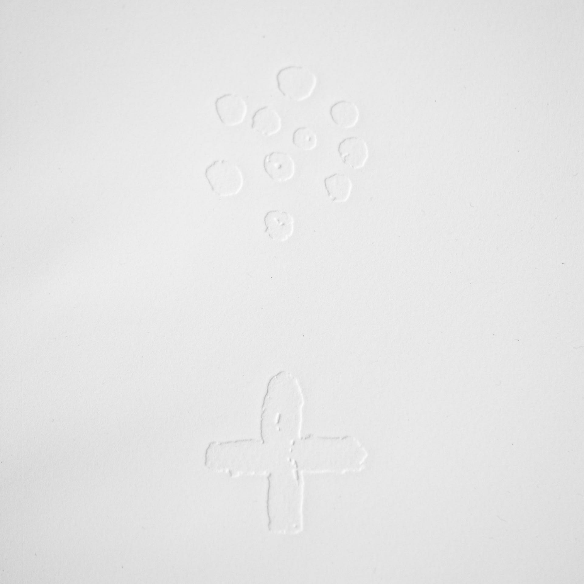 'The Star Of Woman'-image from the series 'Sirius'.Embossed white print of 'The Star Of Woman', constellation of the Dog