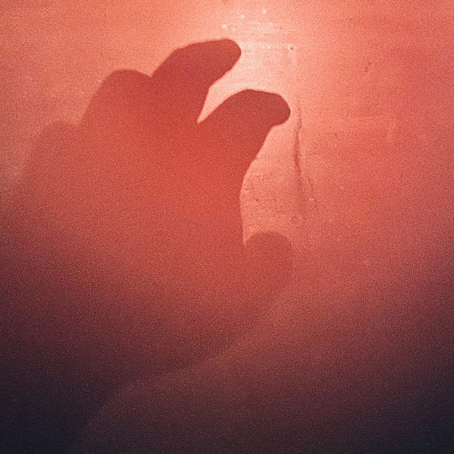 Cover image. Hand reaching out for red  halo light