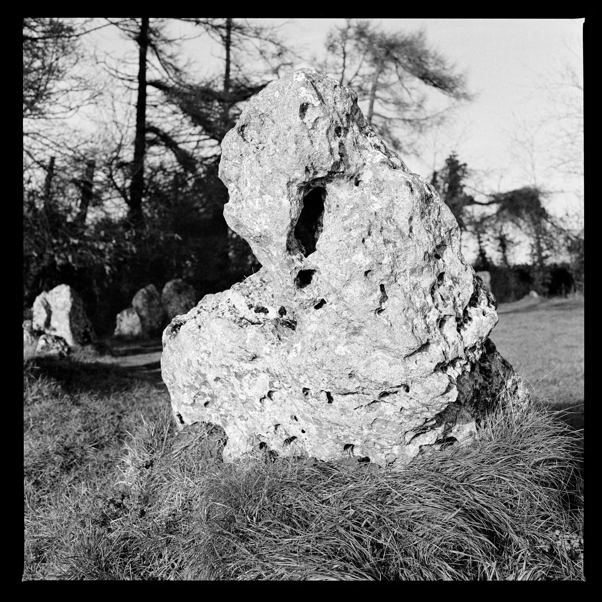 a single standing stone in a field of grass. Black and white photograph. In the background are trees and other standing stones