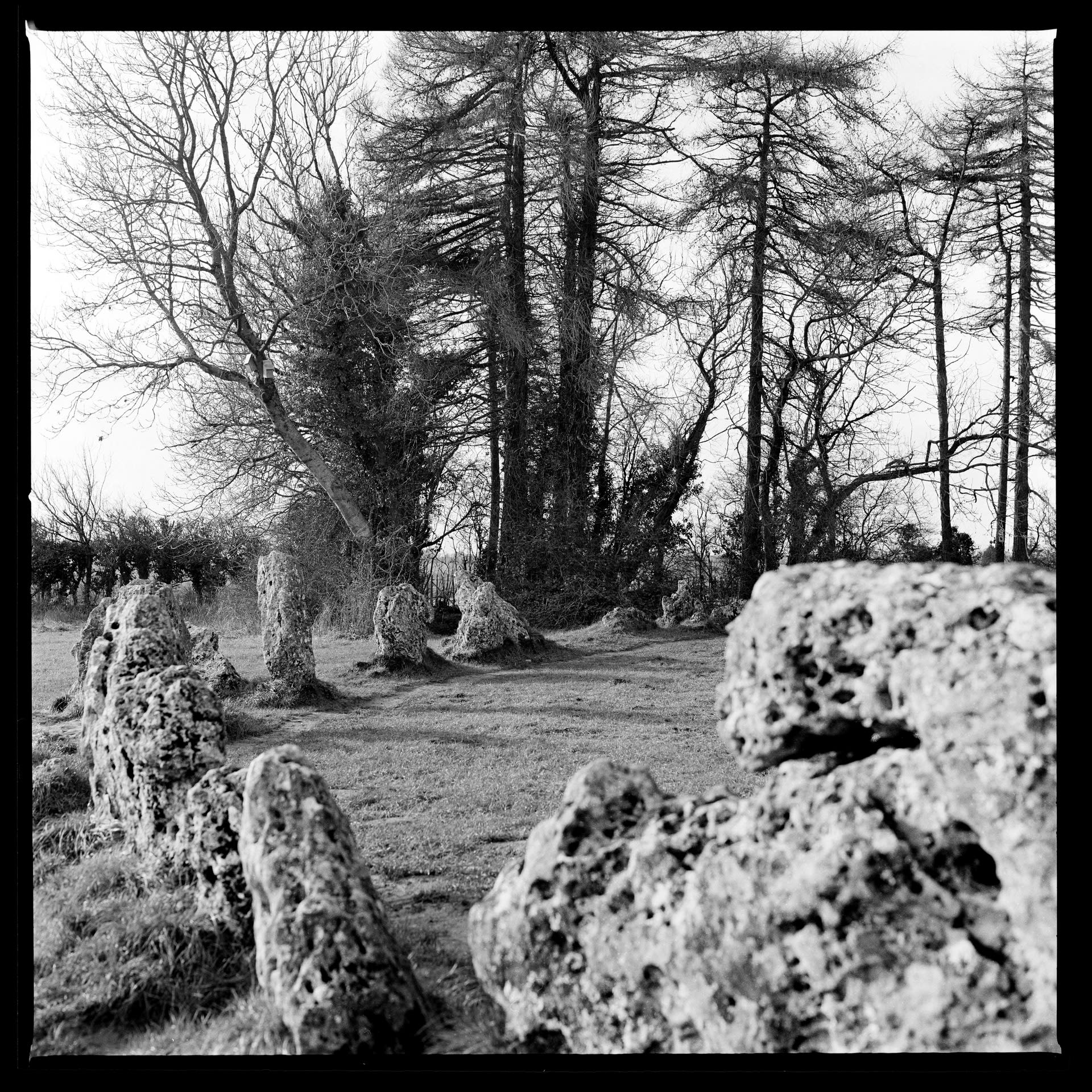 half of a standing stone circle in a field of grass. Tall trees stand behind. Black and white photograph.