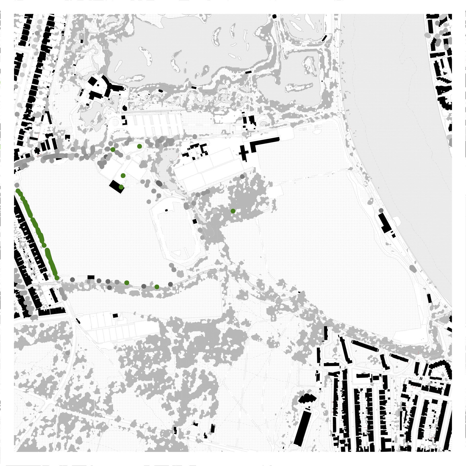 Map showing the location of the tree in Barnes and how its sole species position stands out from the Plane tree lined streets 