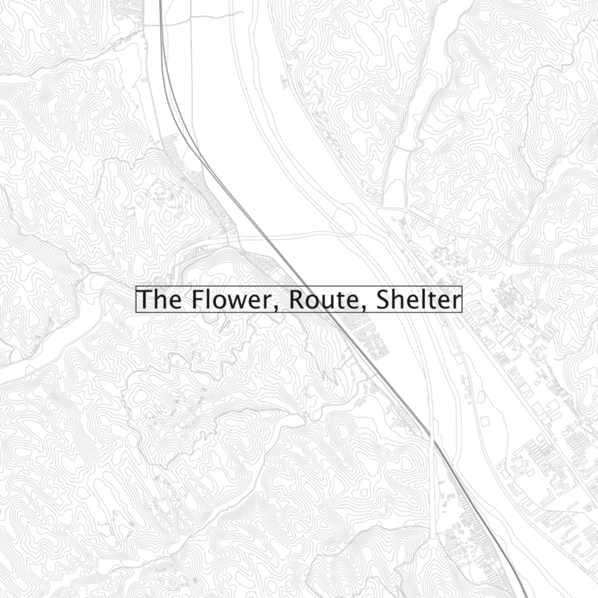 Title of the project
