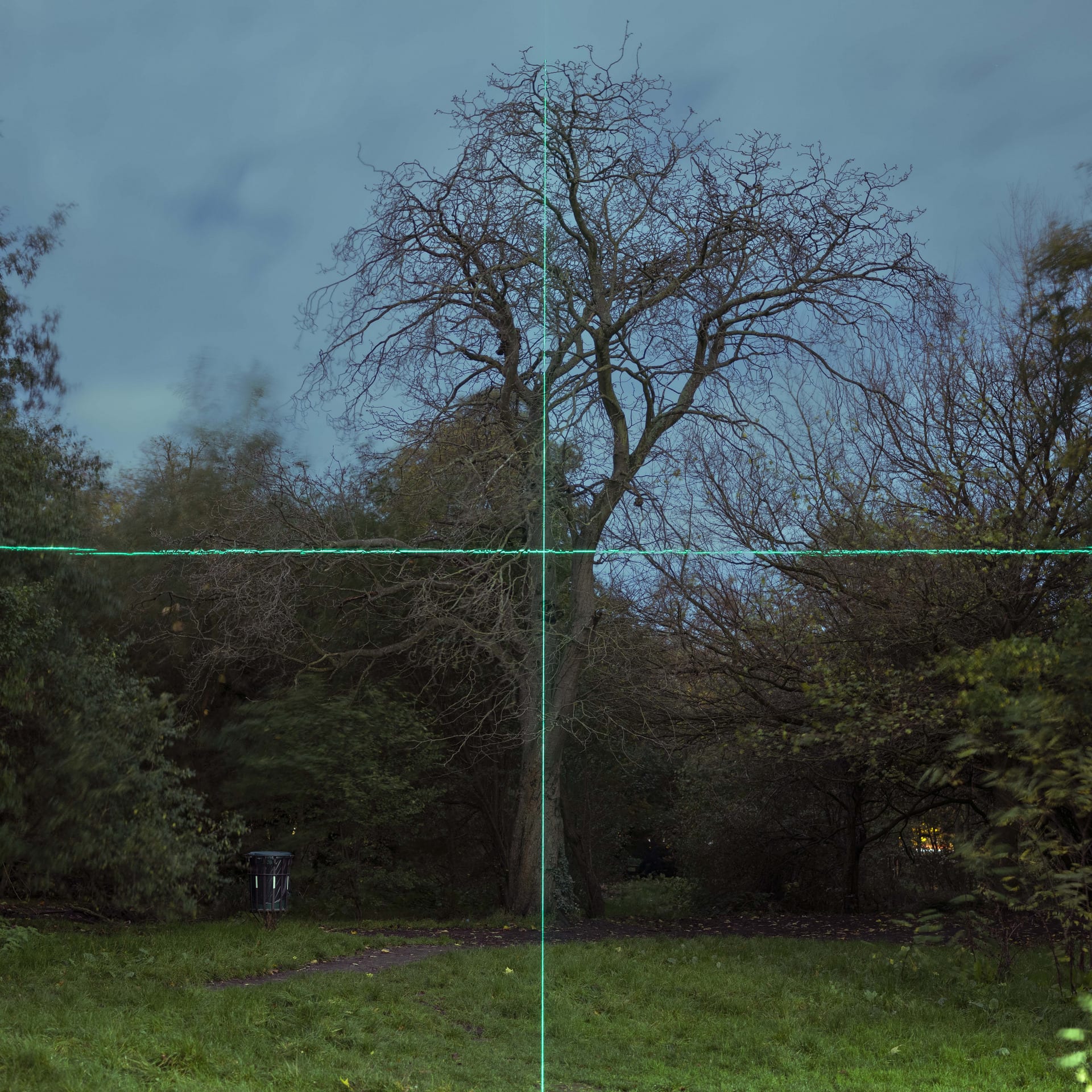 Green cross laser projection on a big tree at night