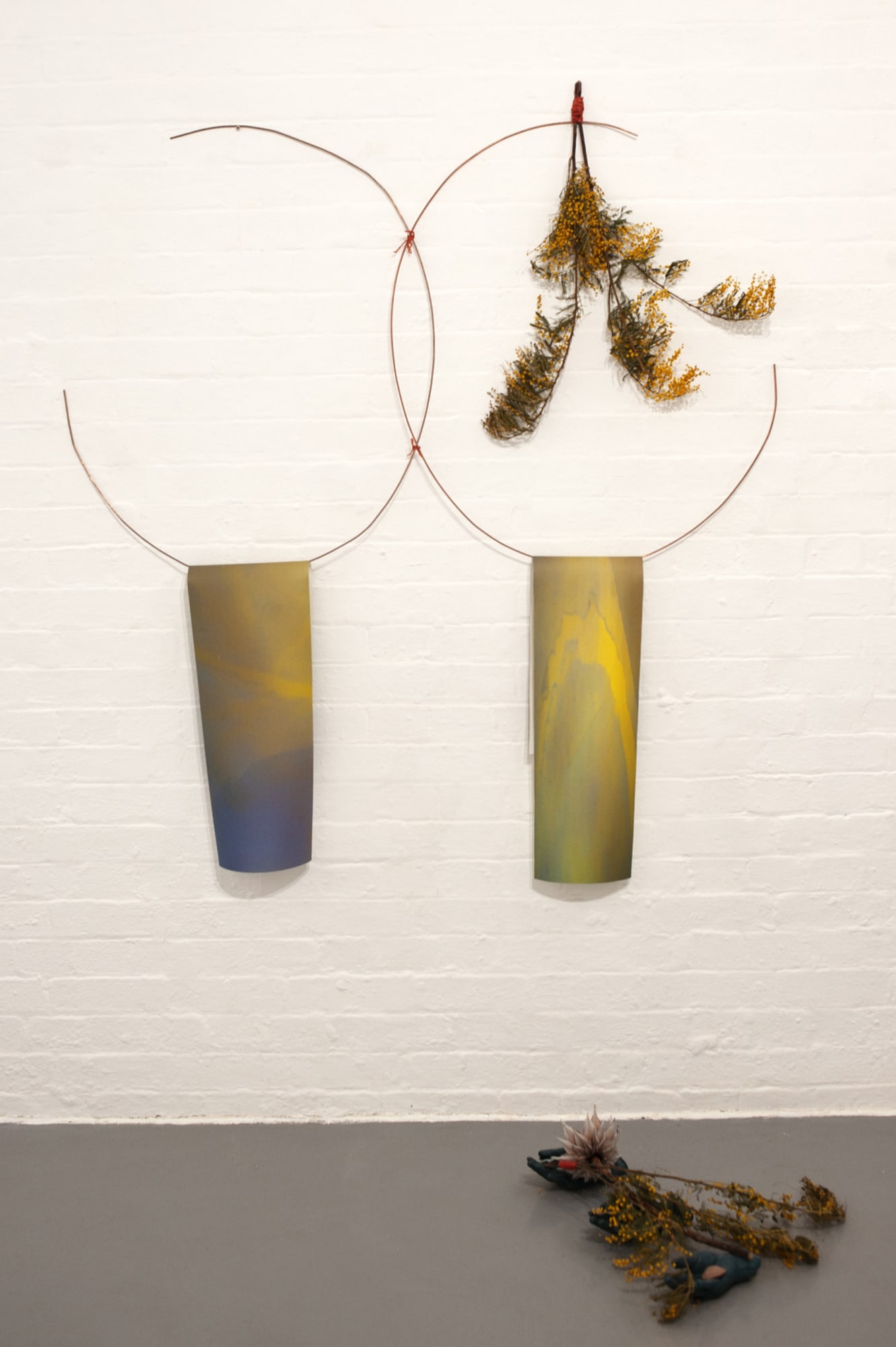 Two copper ellipses mirroring each other with photograph and dry Mimosas.