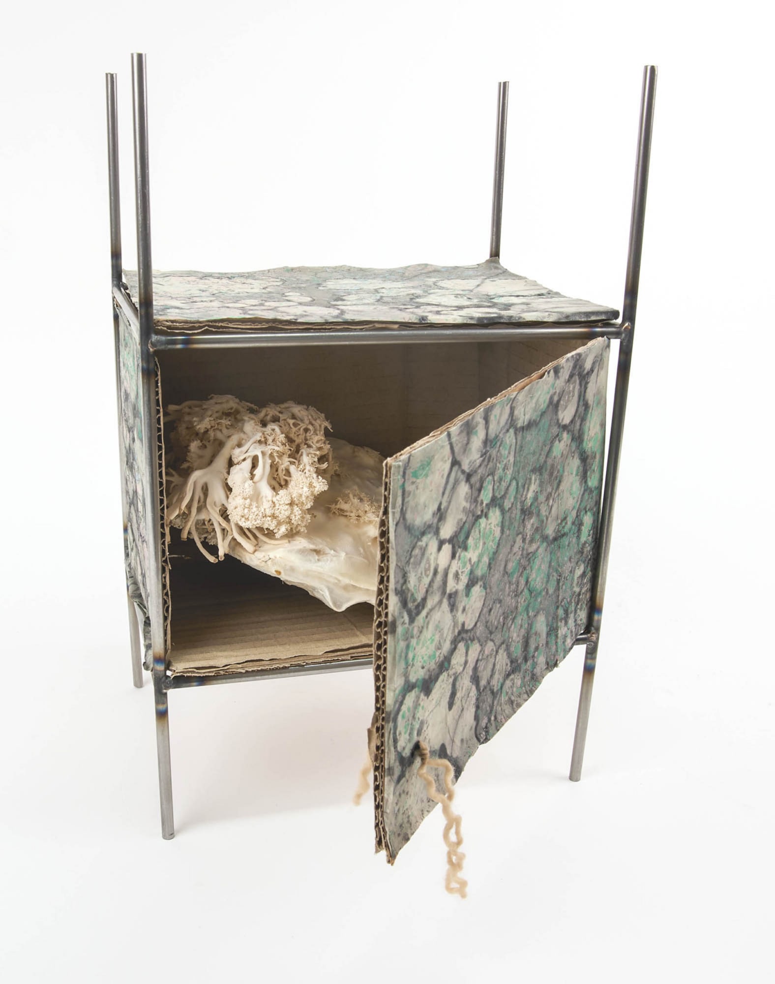 Marbled cardboard and metal box housing a handmade book with mushroom spores fruiting