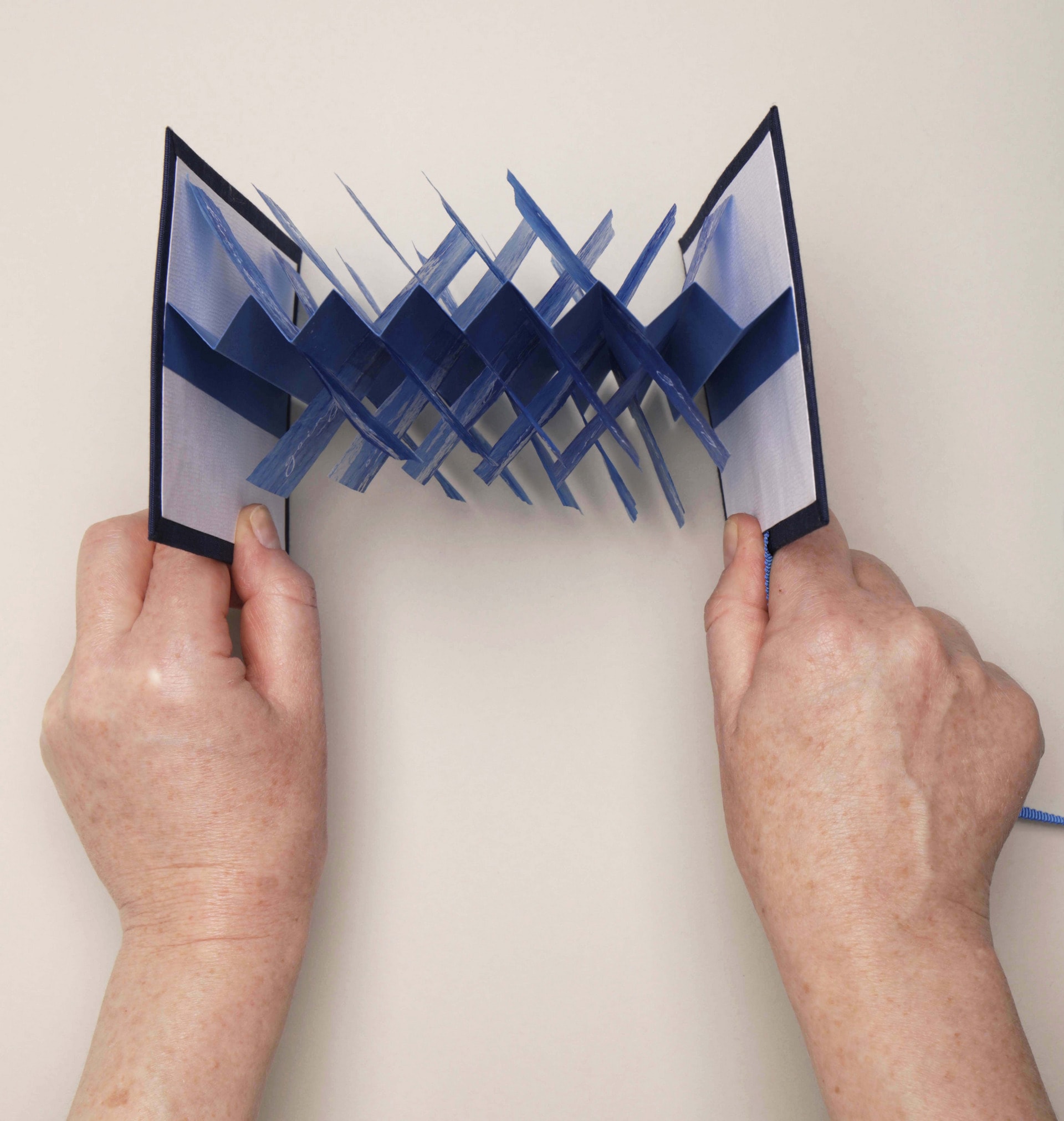 top view showing concertina and flags