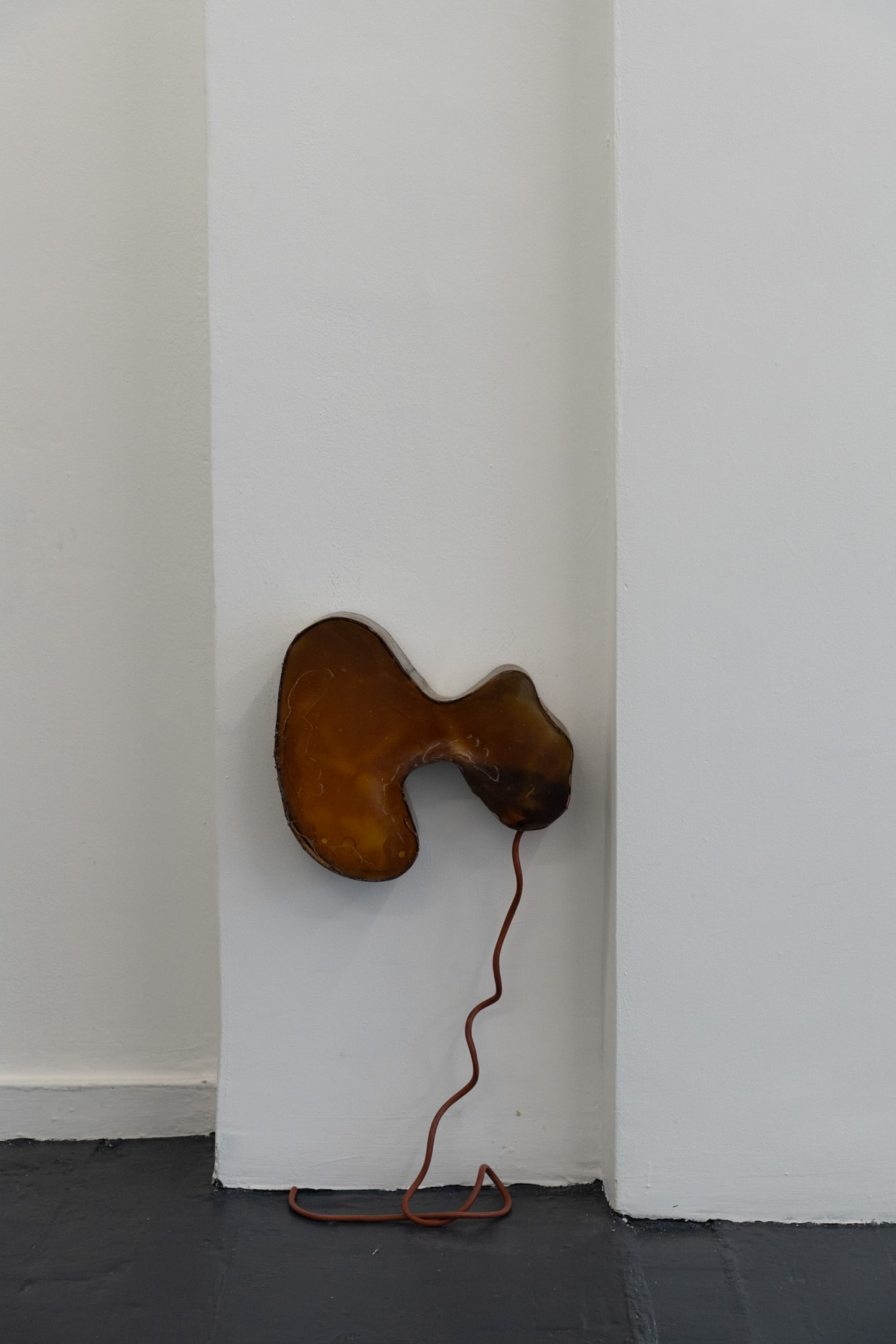 small wall mounted sculpture of a metal container with a latex skin and a rubber tube coming out of its bottom 