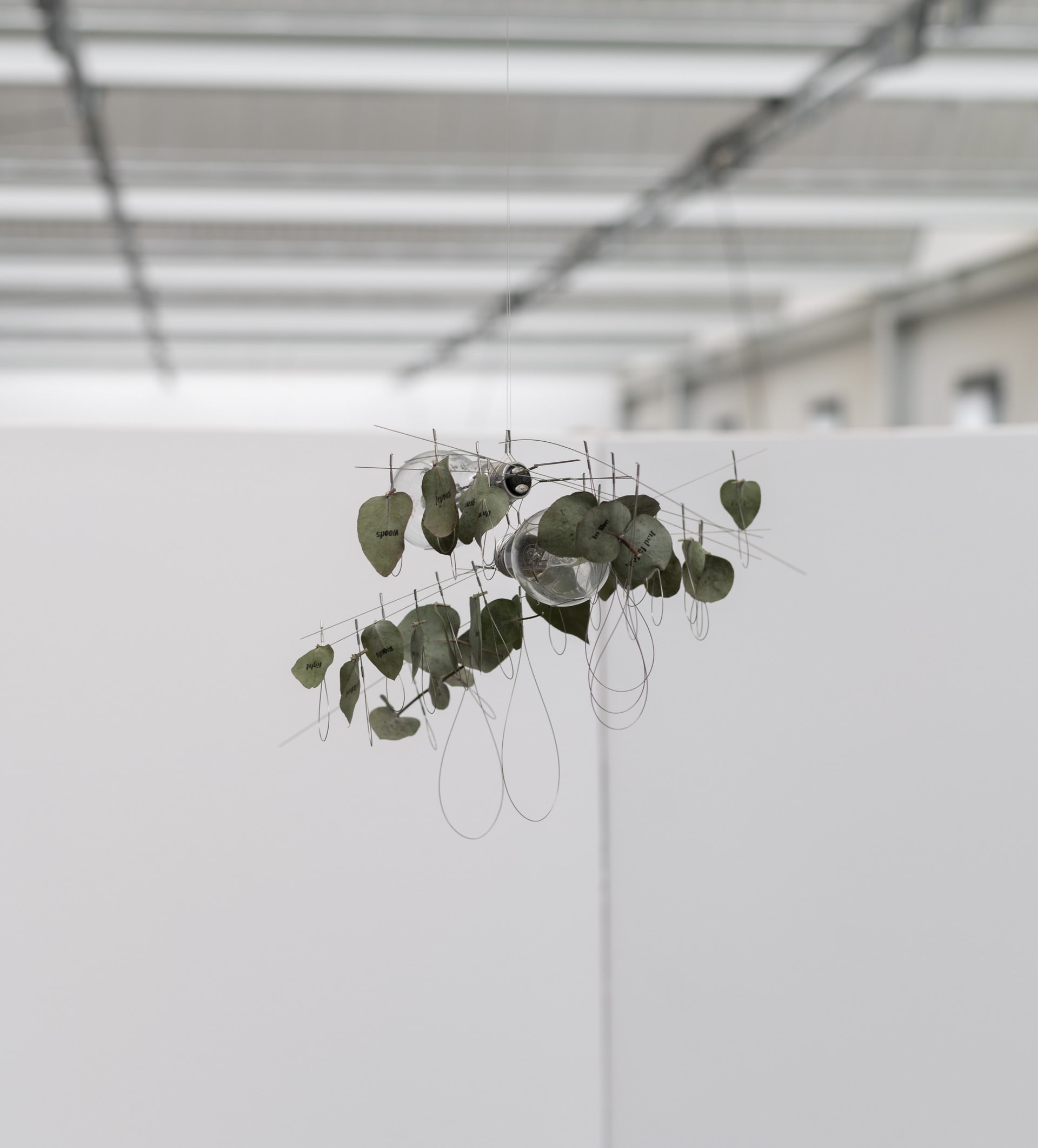 'Like a blade seen in a dream’, Light bulb, stainless steel wire/tube, eucalyptus leaves