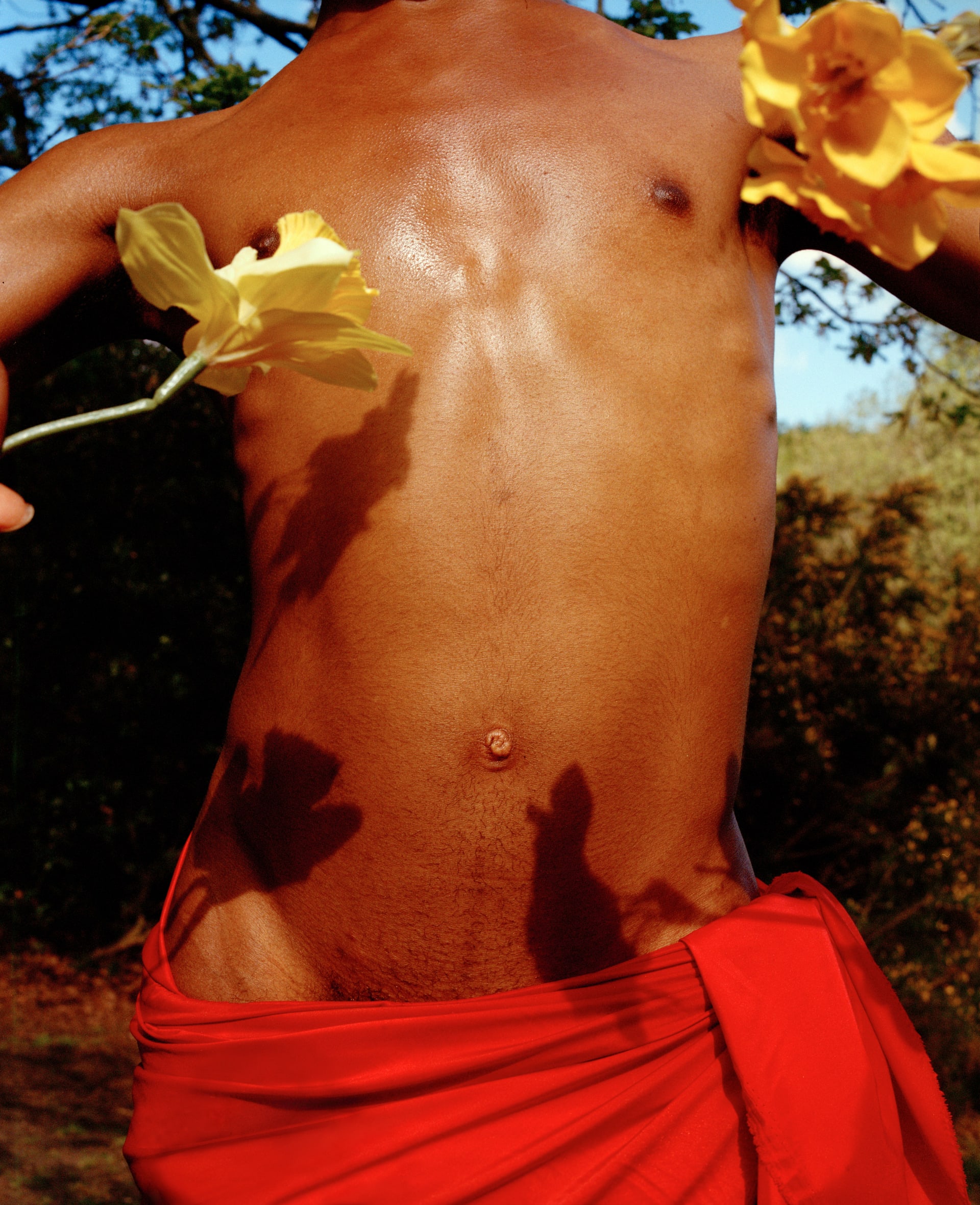 image of a mans torso holding daffodils