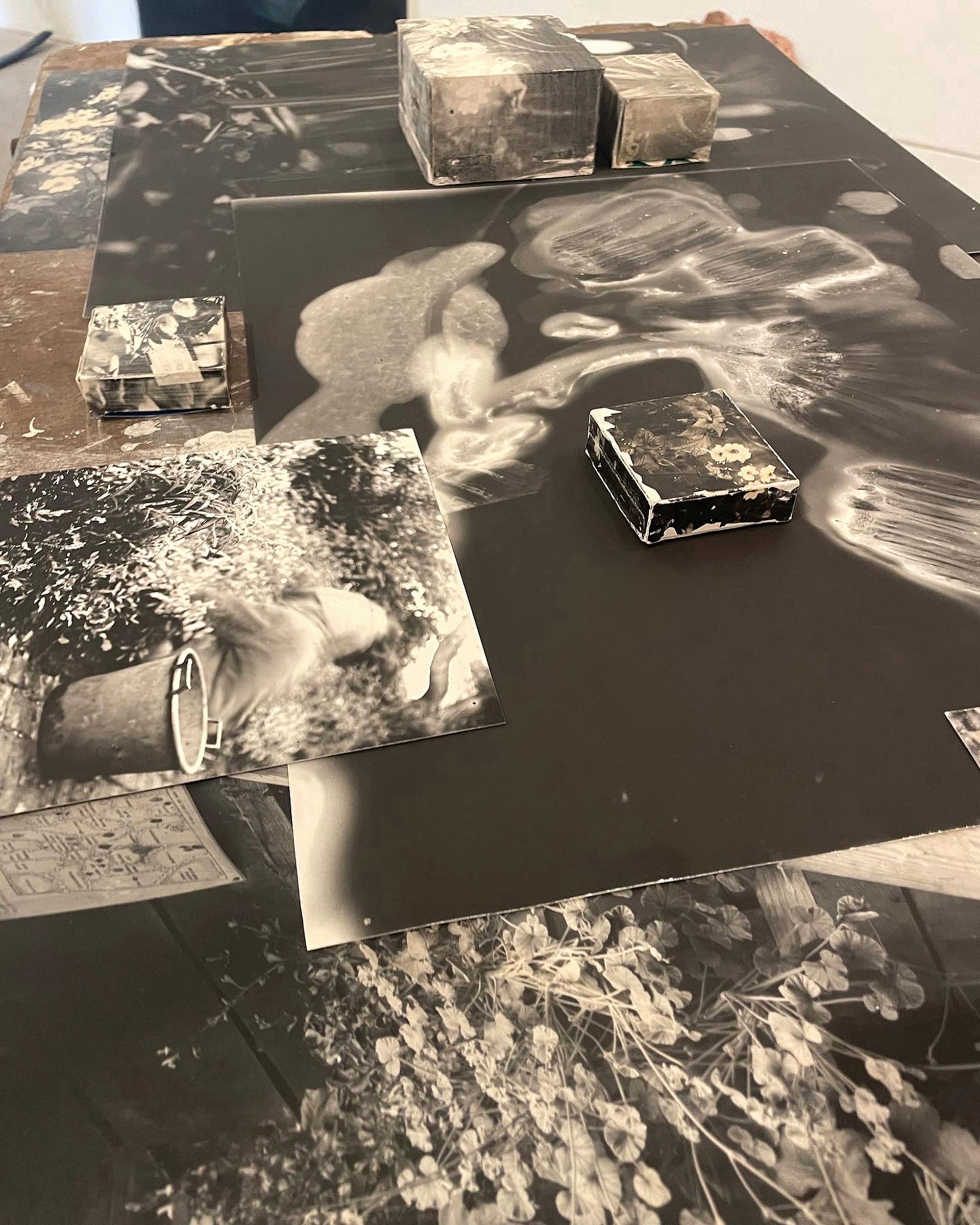 layered Silver Gelatin black and white photographs and 3D printed boxes showing plant images assembled on a table top