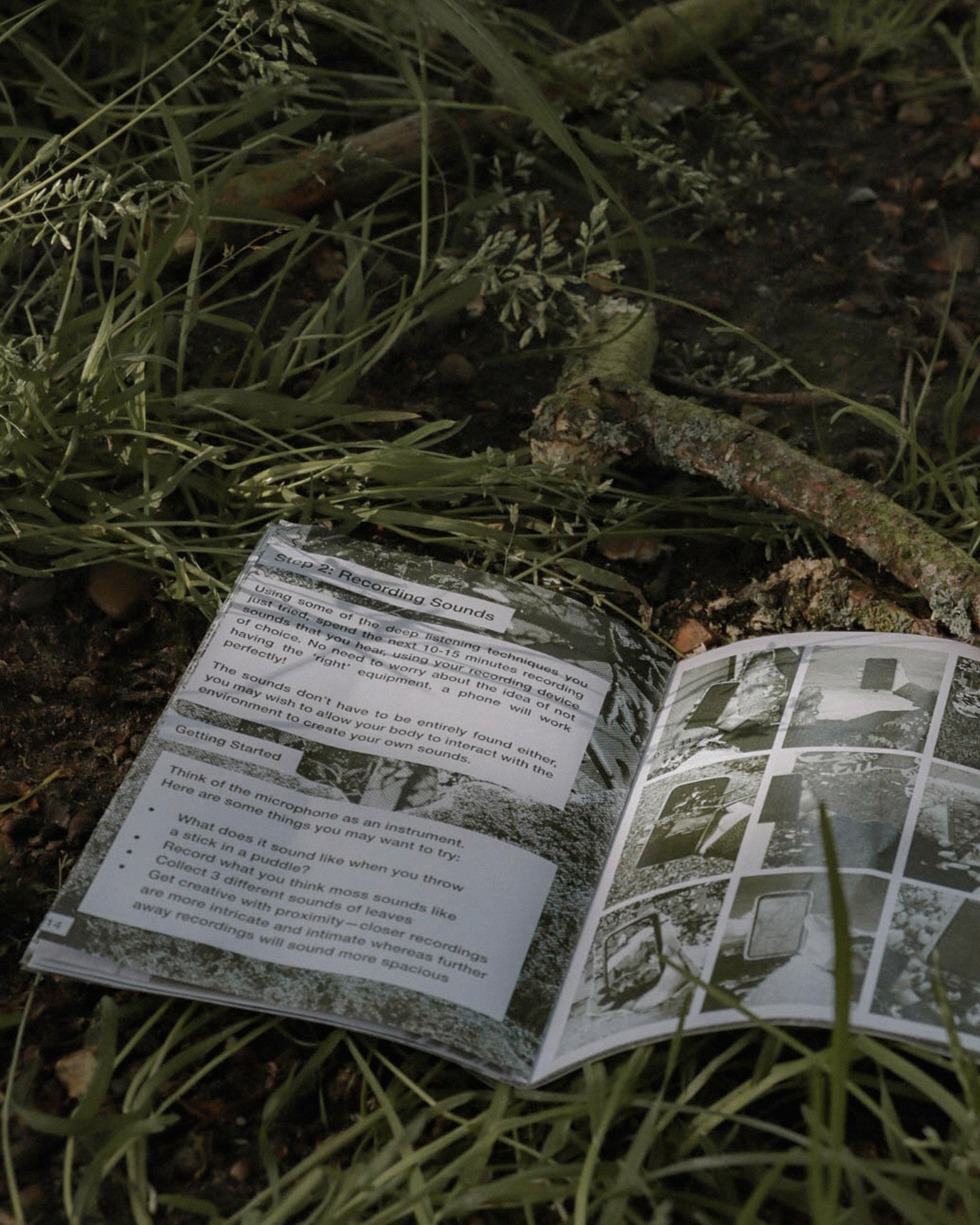 A photograph of a printed zine in some grass.