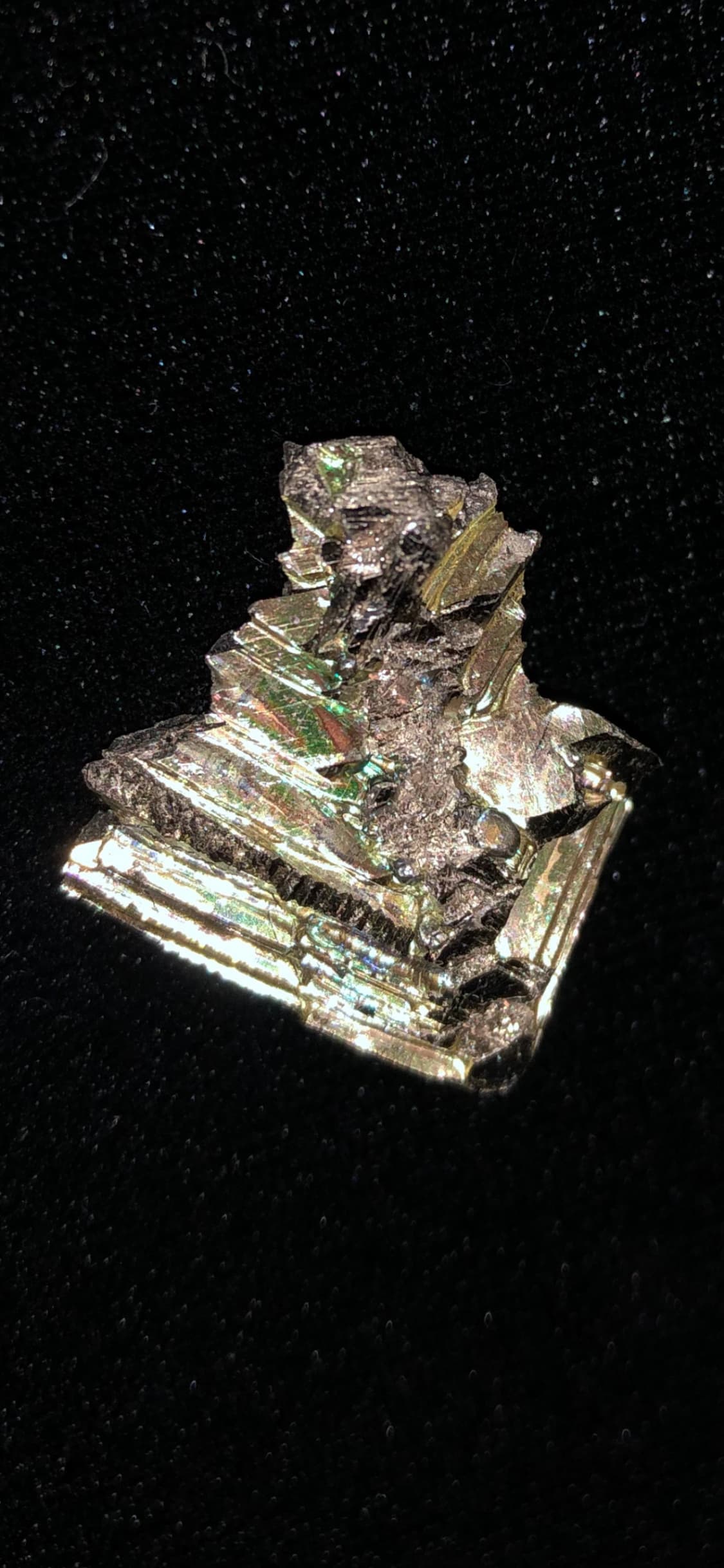 A single crystal resembles an alien alligator's face, floating on black velvet