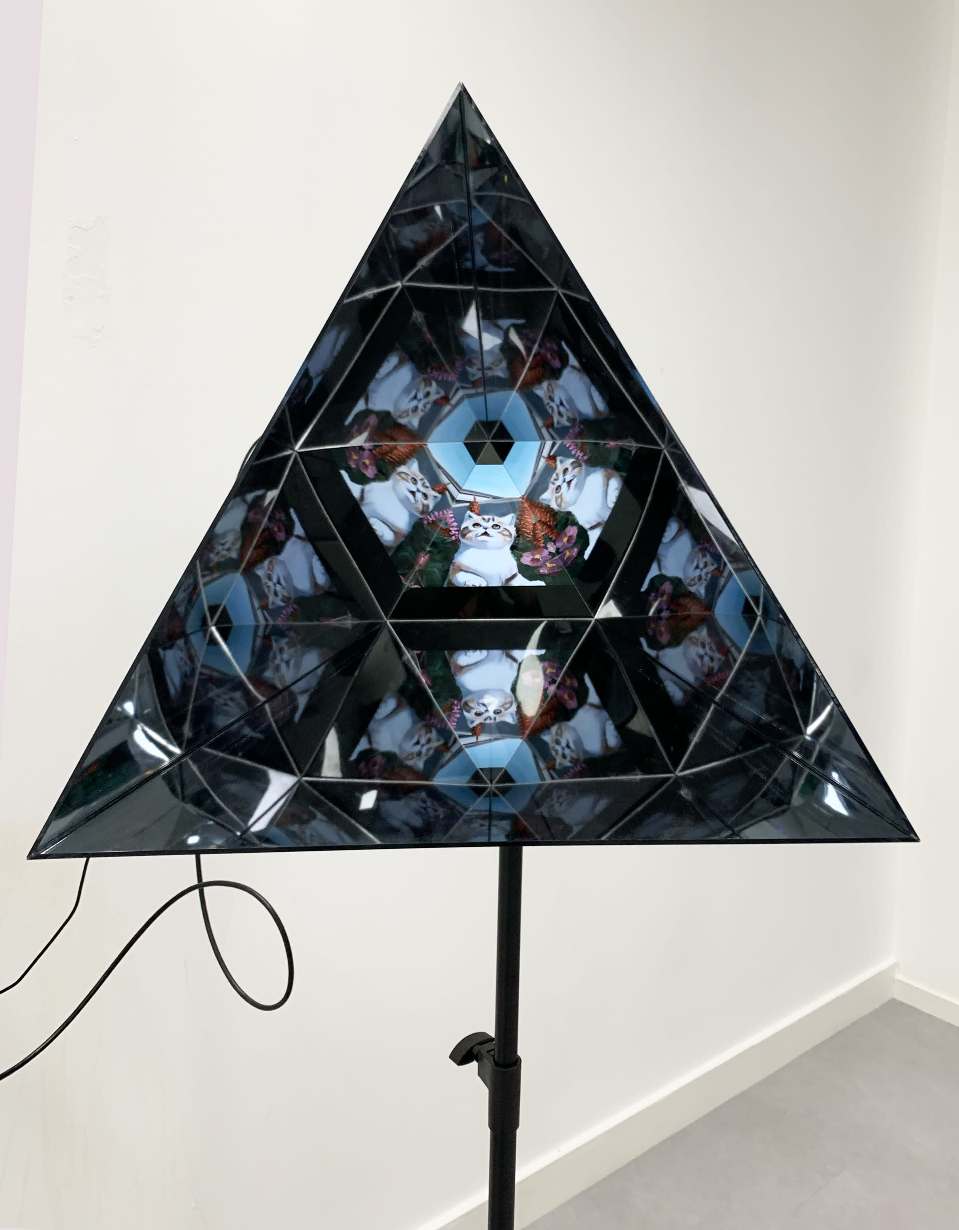 Presentation of the generated image in a kaleidoscope