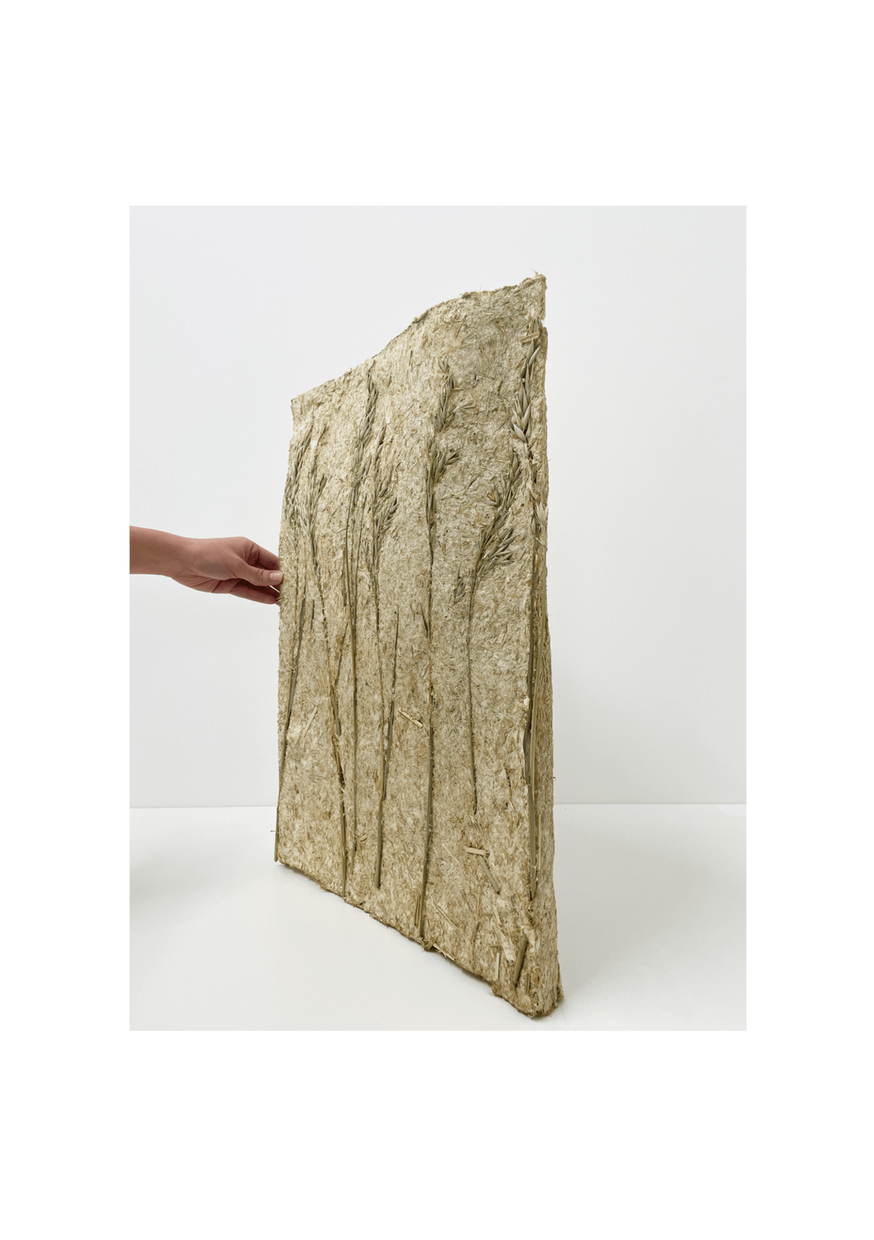 Materiality, media item 4