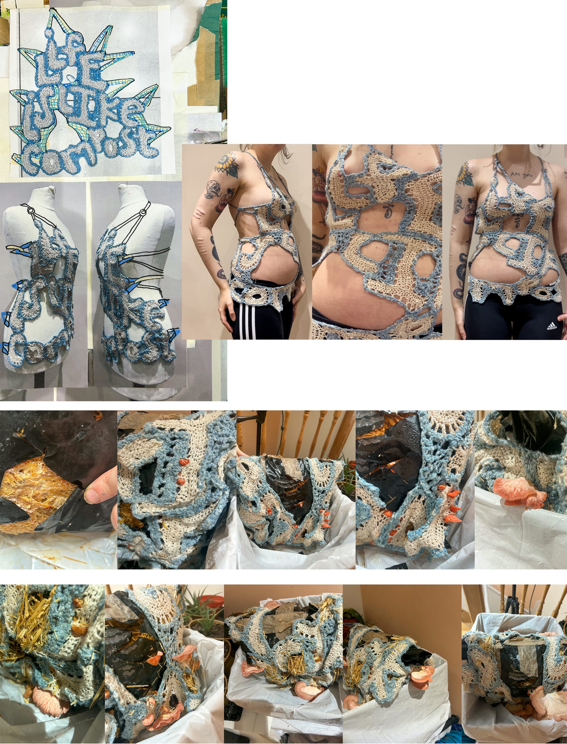 images showing development of top and growth of mushrooms on top