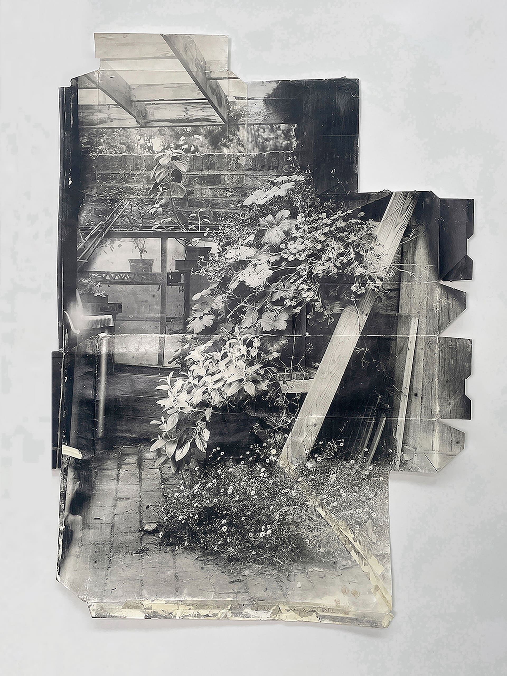 a black and white photograph showing the edges of packaging and the image of cascading flowers on a ladde 