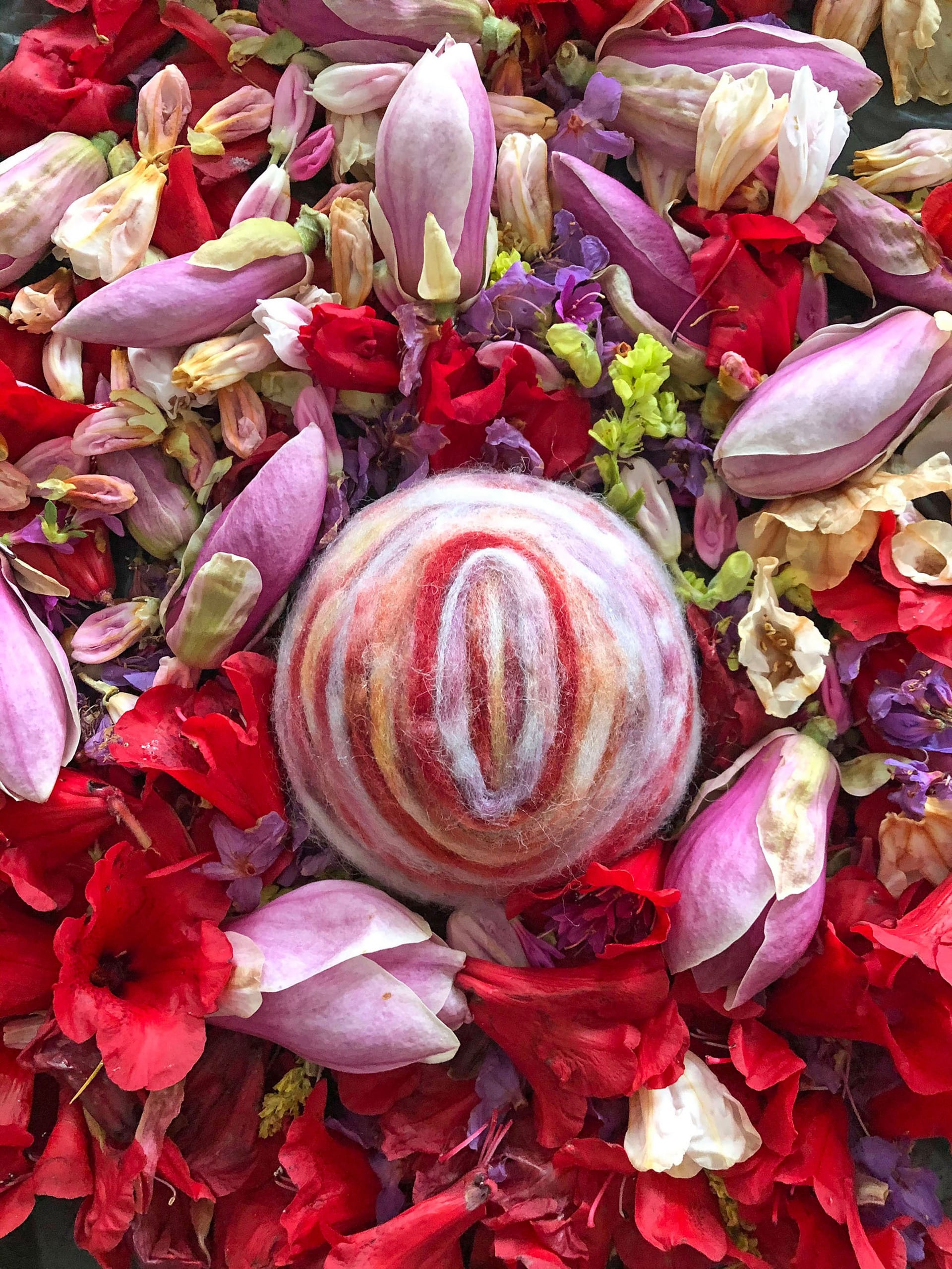 Birth Pod amongst the collected spring flowers that were used to dye the wool for the Evolve piece.