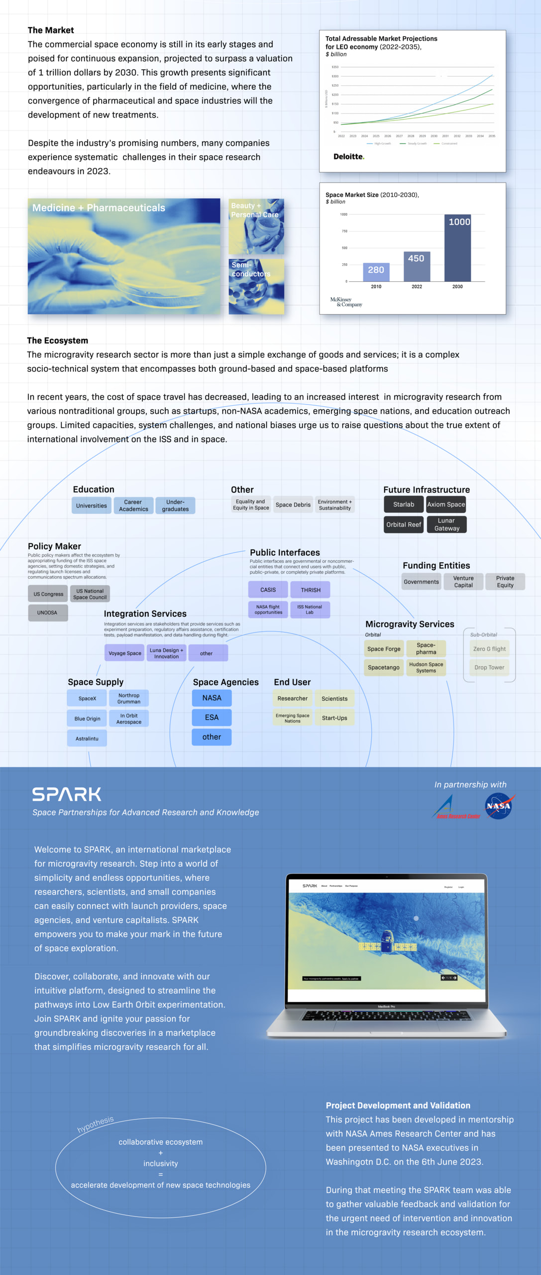 Description of the project, market size, eco system, and spark.