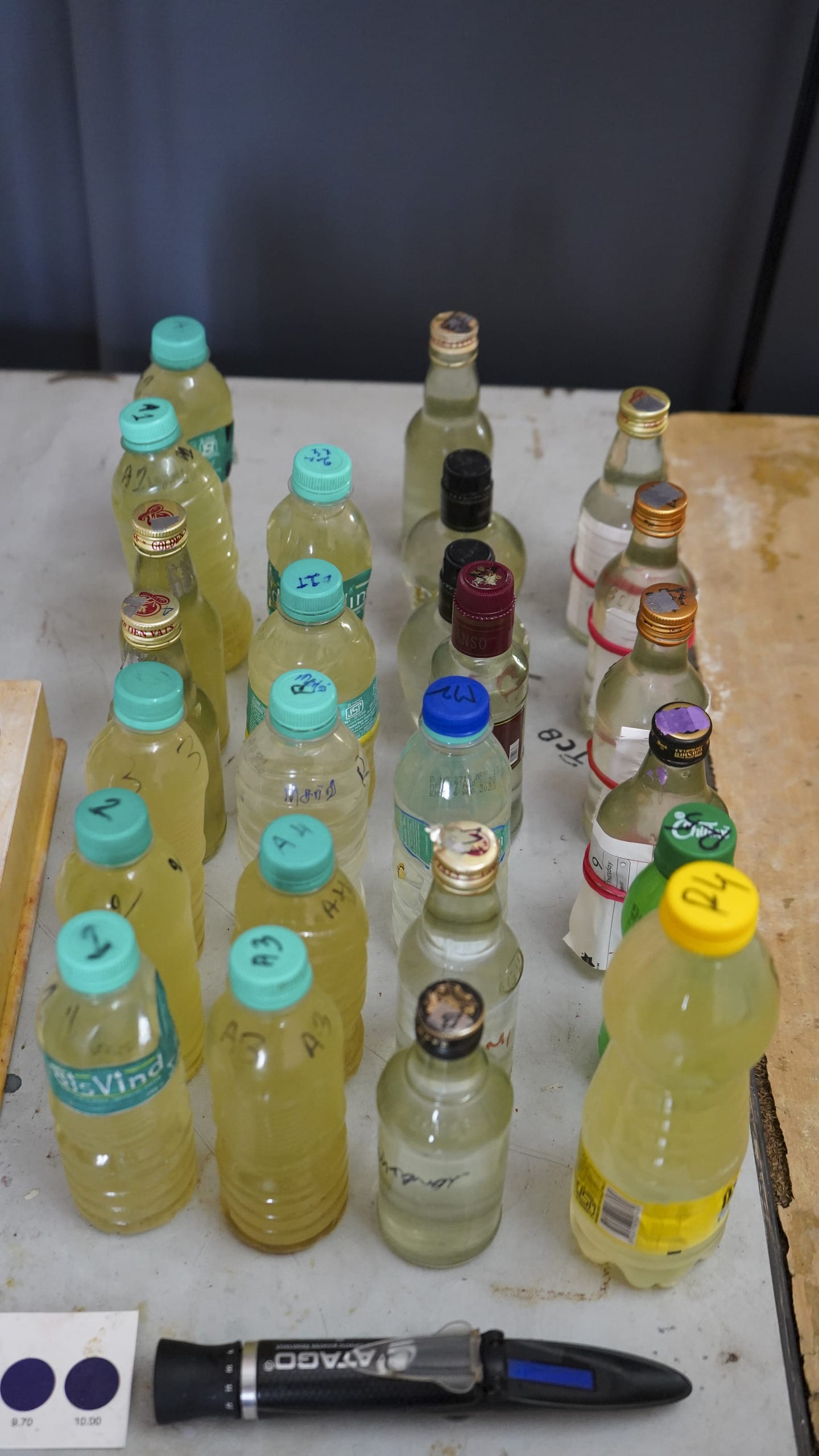 Bottles with pond water samples at lab. 