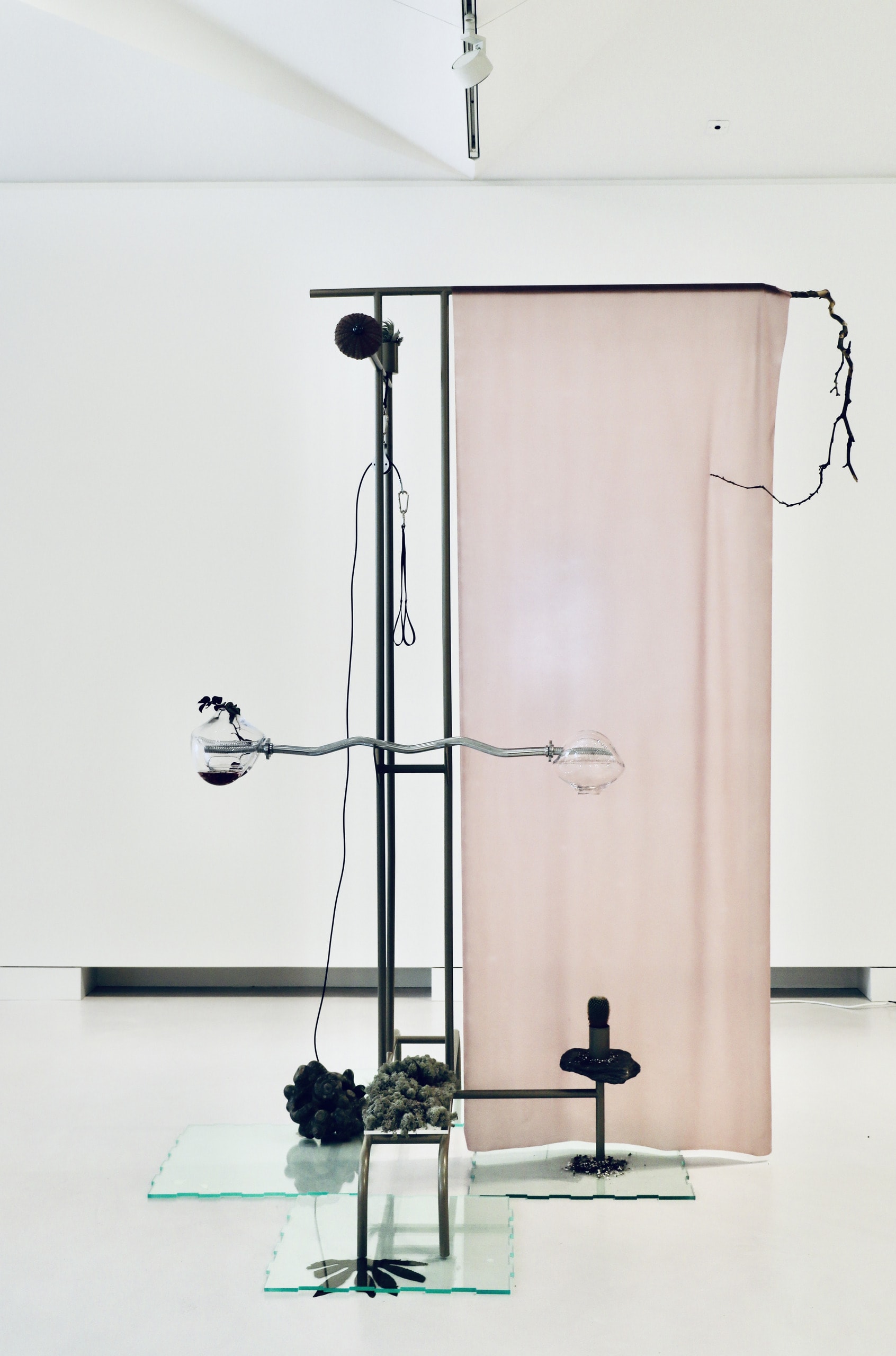 Exercise of Entangled Empathy, 2021  Glass, water, algae, plants, soil, fossil rock, bell bar, pulley system, latex, tree branch, powder coated stainless steel.  267x140x180cm