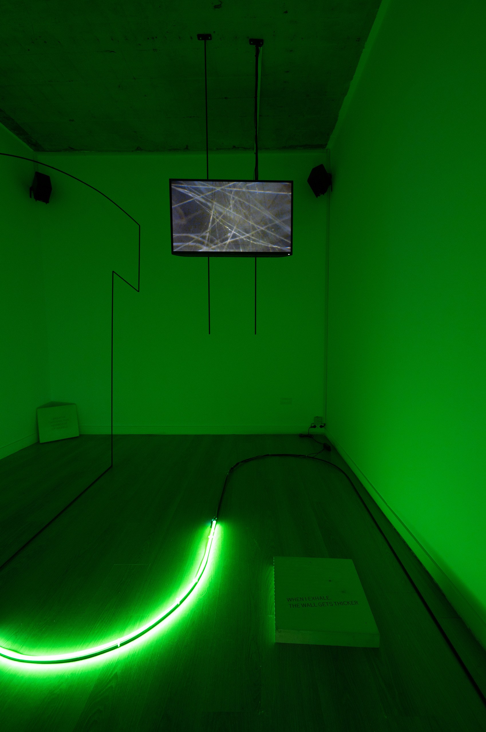 Installation View at Art Encounters Foundation
