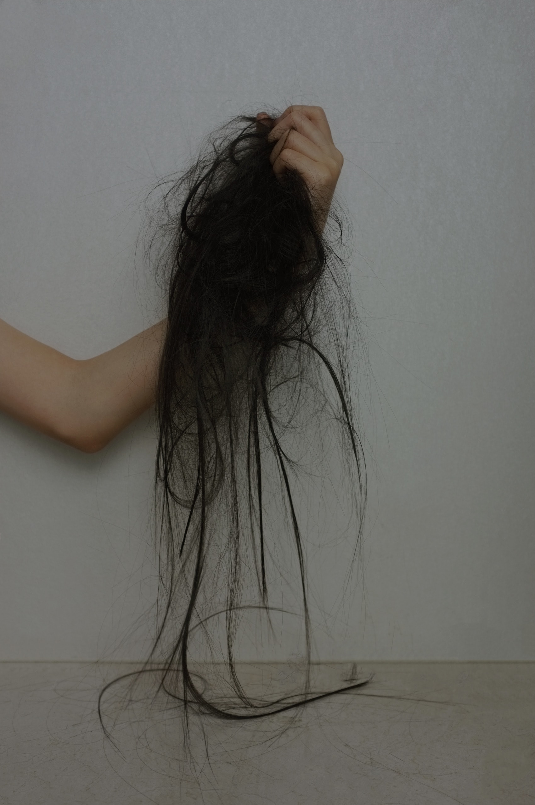 Hair, 2022, media item 1