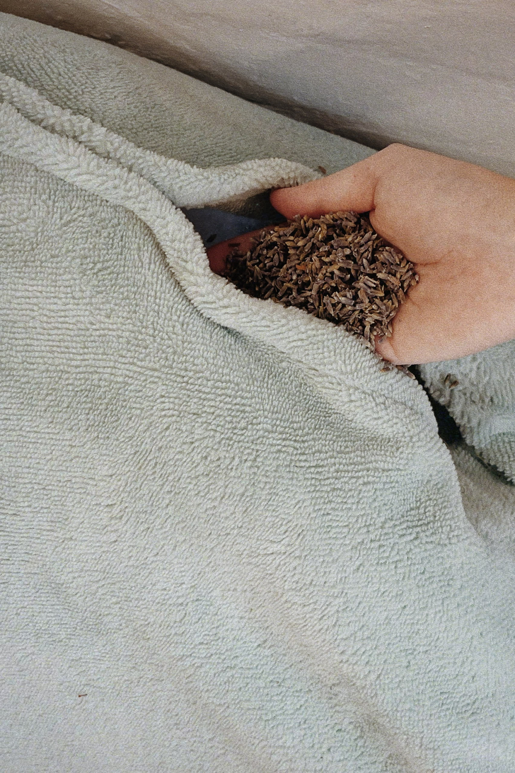 Pouring lavender into the fabric cushion before sealing it up