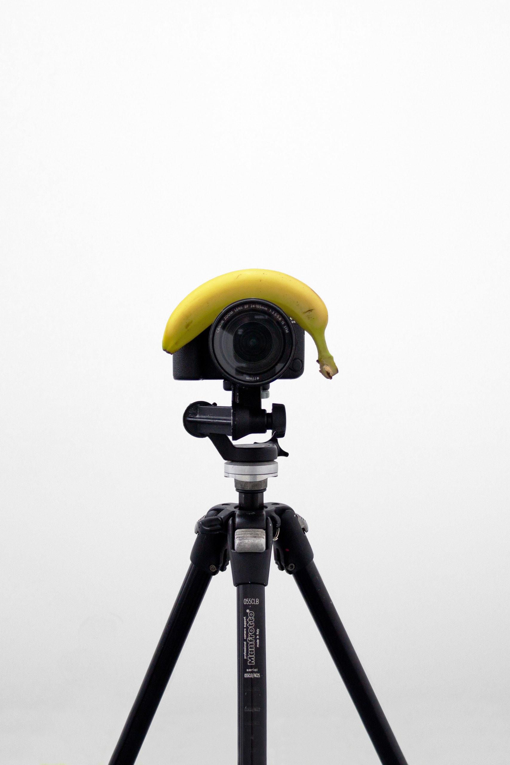 Banana+Canon EOS 6D Mark II Camera+Canon EF 24-105mm f4 IS II USM Lens+Manfrotto 055CLB Tripod-1