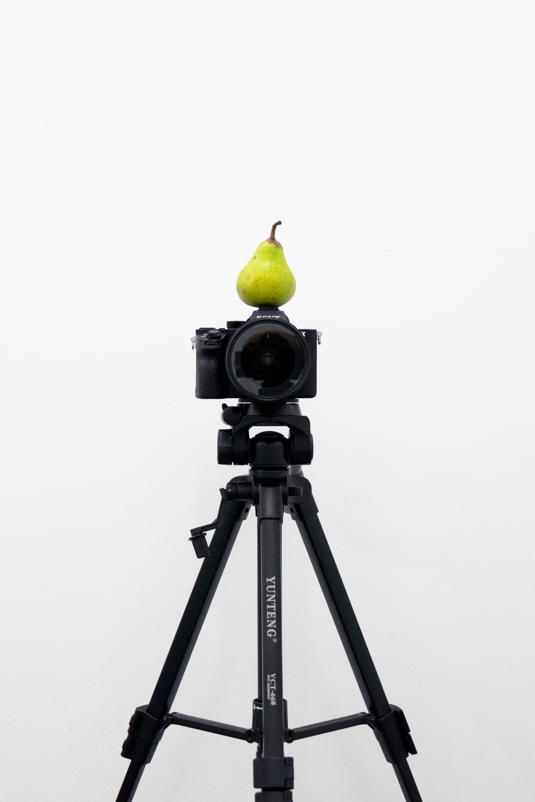 Pear+Sony Alpha 7R II Camera+Canon EF 17-40mm f4L USM Lens+Metabones Adapter Ring Canon EF to E-mount T+YUNTENG VCT-668RM Tripod