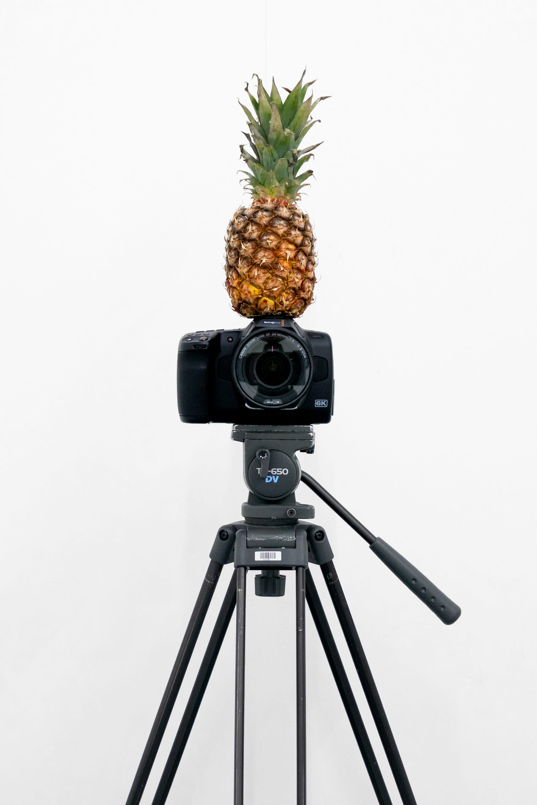 Pineapple+Blackmagic Pocket Cinema Camera 6K Pro+Canon EF 24-105mm f4 IS II USM Lens+Libec TH-650 DV Tripod-1