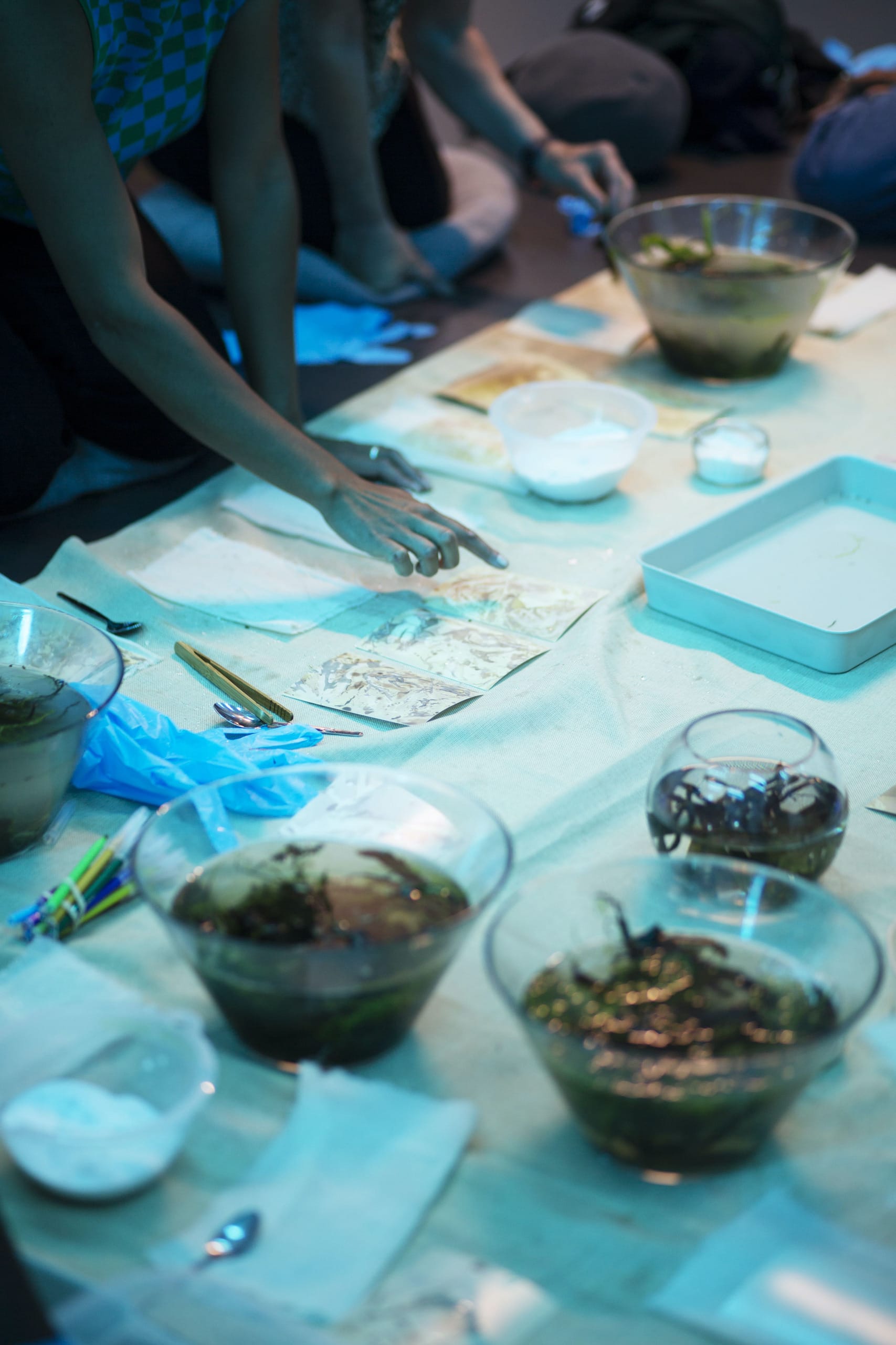 Seaweed Light Traces: an ecological analogue film workshop with Kathryn Attrill
Photography by Emily Gardner