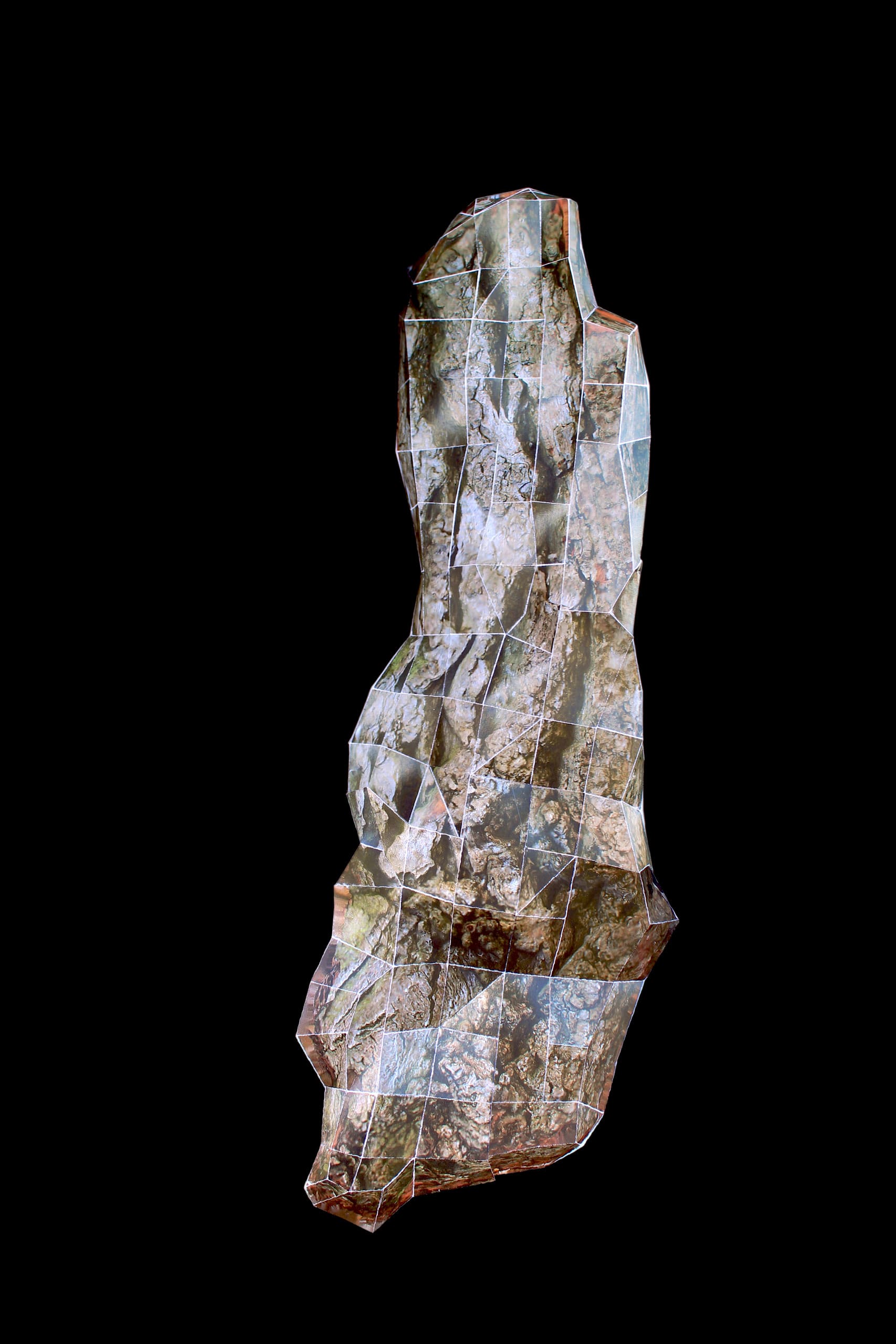 Bark, media item 1